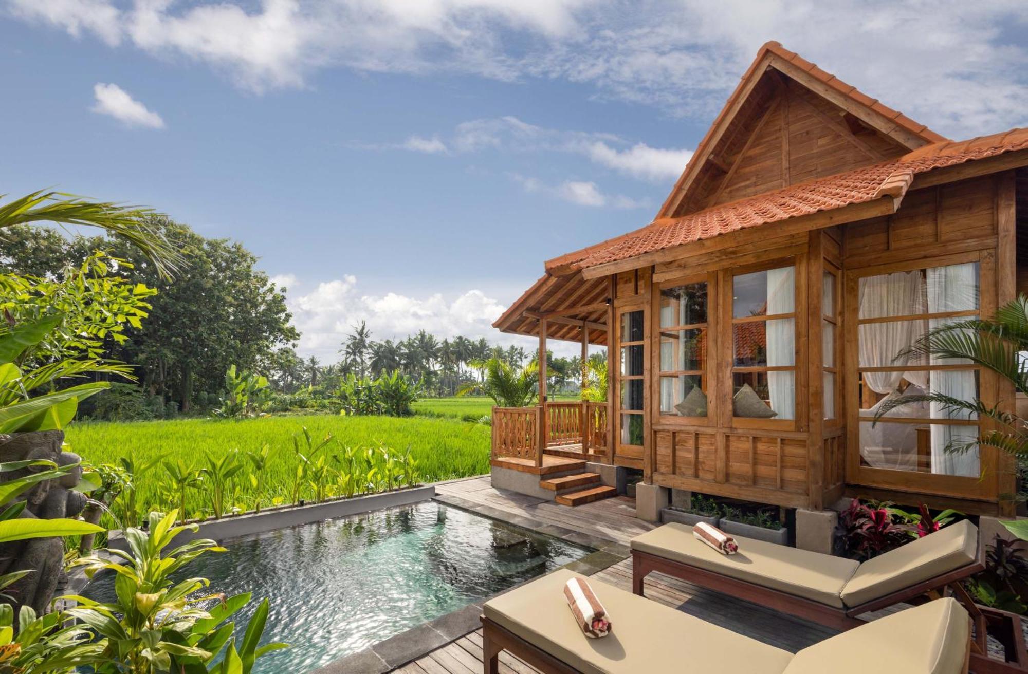 The Kalyana 4*