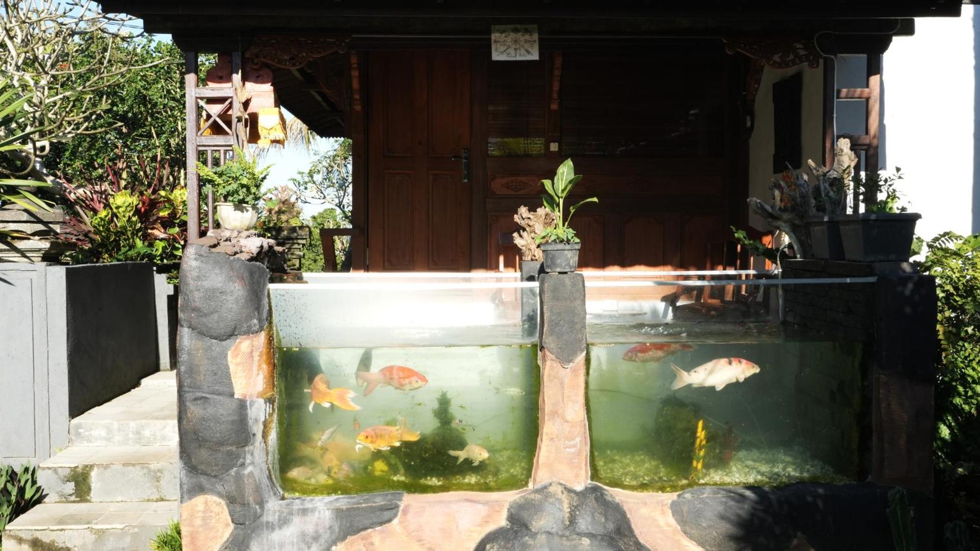 Lodge The Sangkih Restaurant & Bar Munduk (Bali)