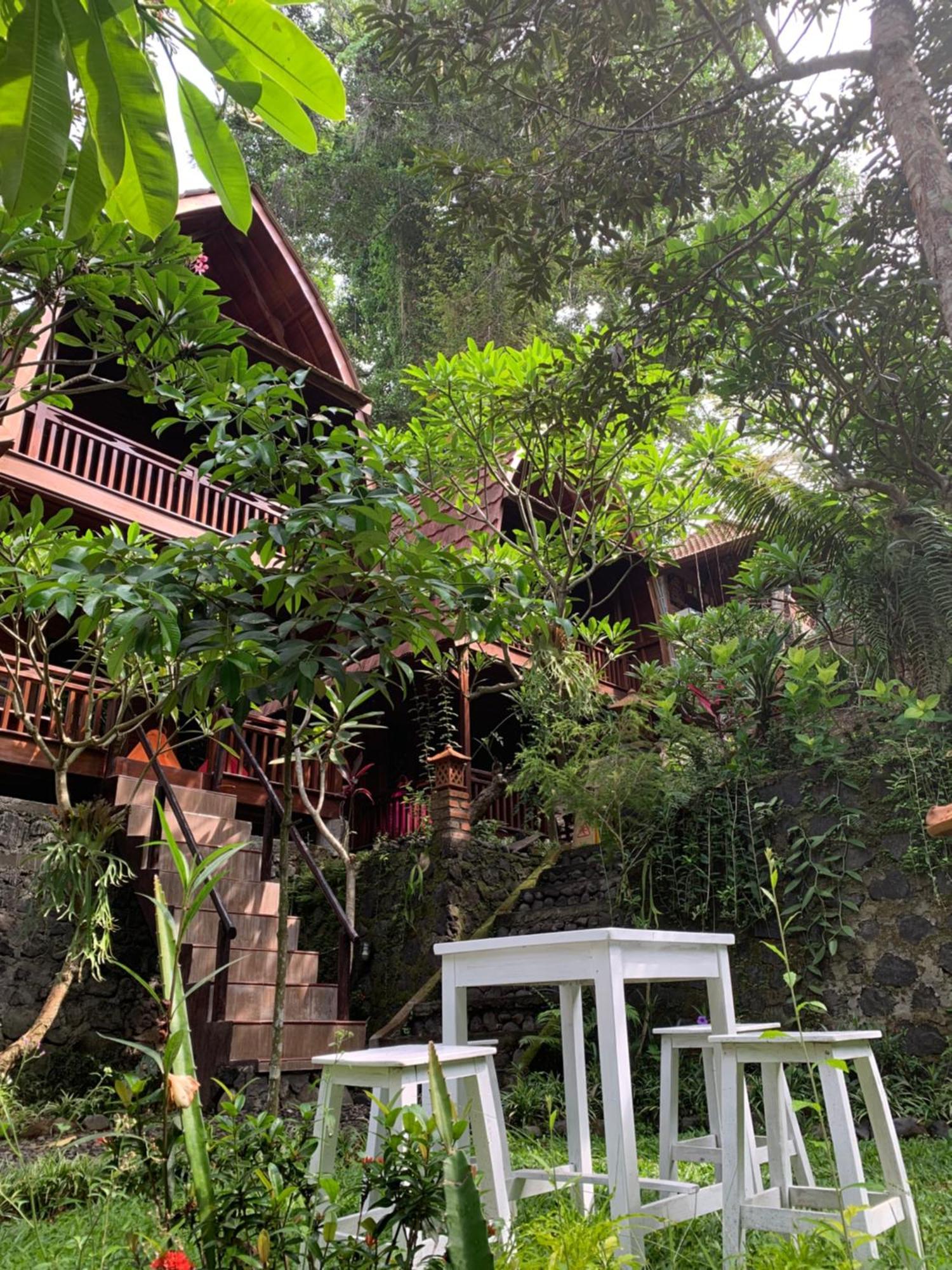 Homestay Bulian Kubutambahan (Bali)
