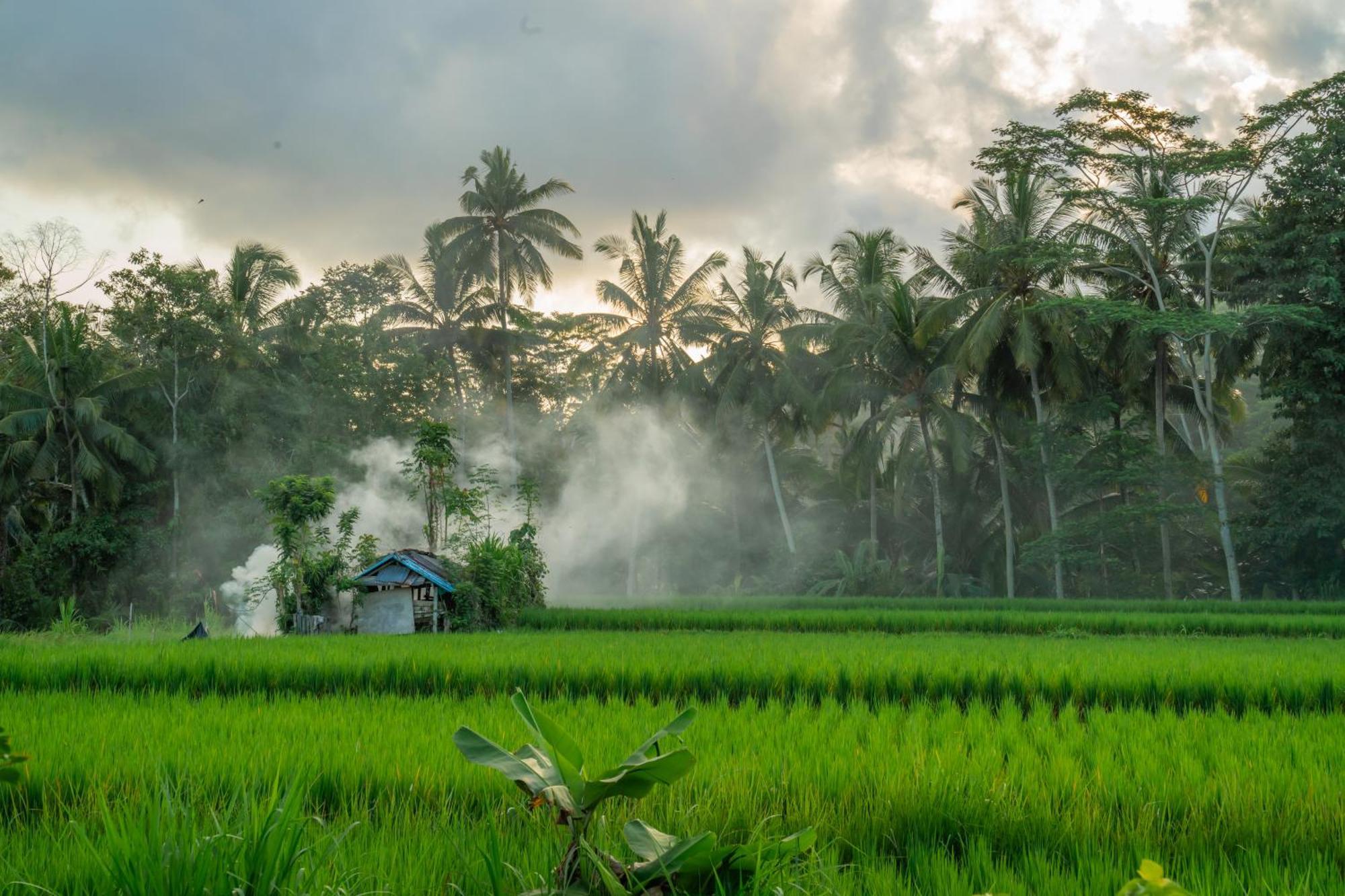 Villa Kampung Uma Dawa And
