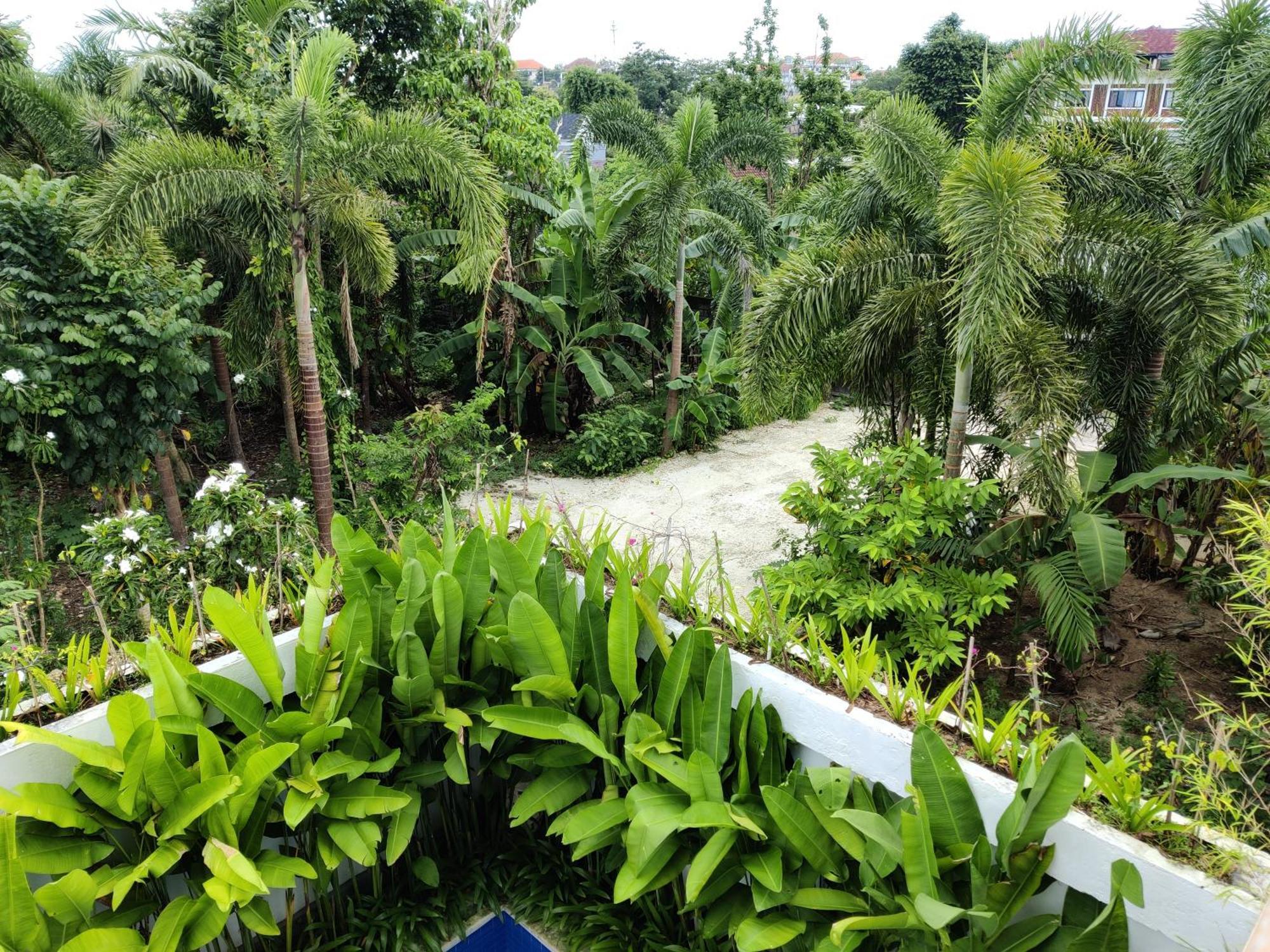 Dreamland Guest Bali