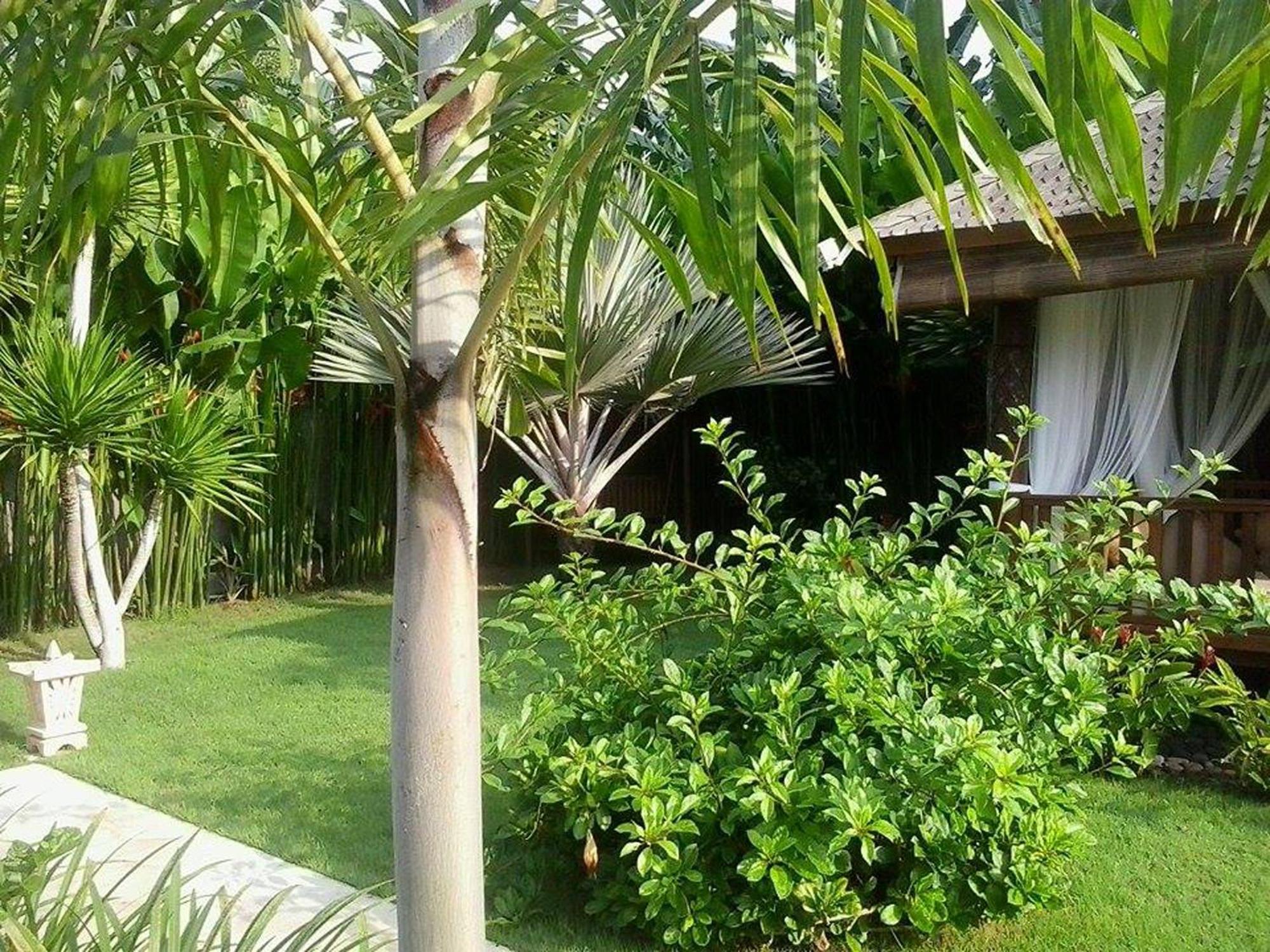Villa Gusmania