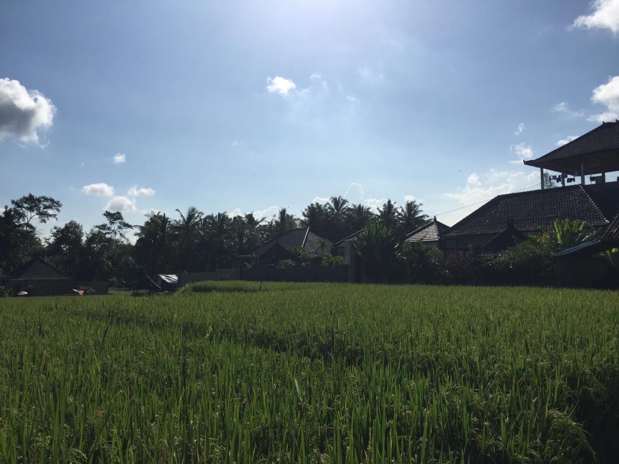Ratna Villa Ubud (Bali)