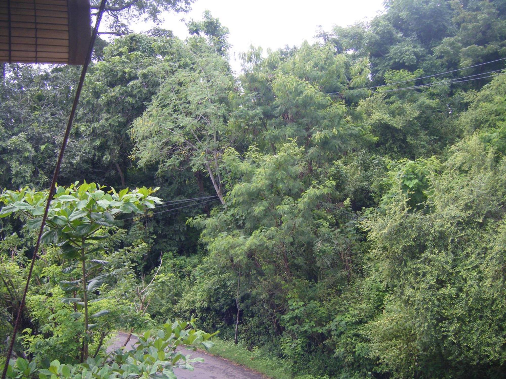 Bubu Racok Guest house 2*