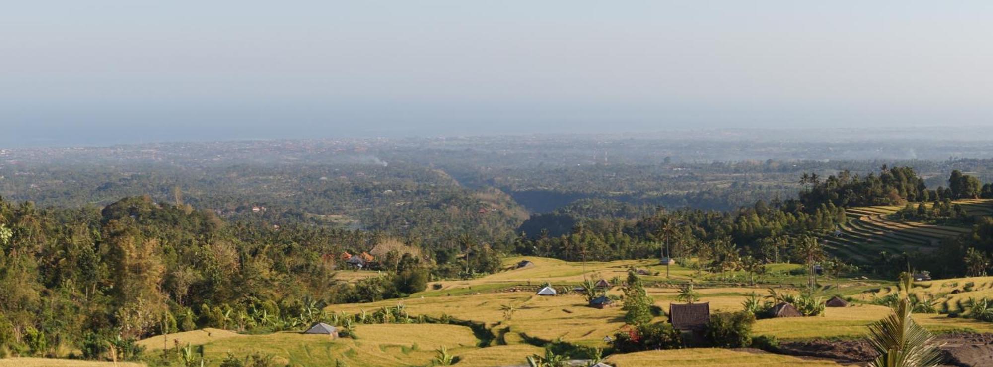 Lafyu Bali