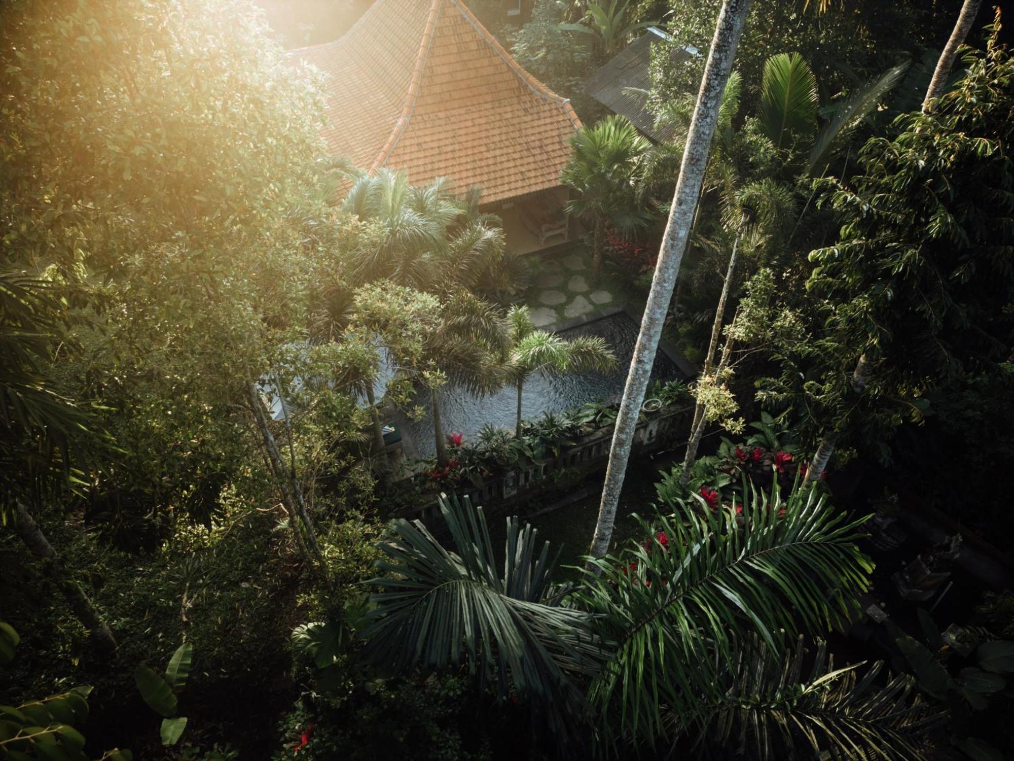 Holiday park Imagine Bali Ubud (Bali)