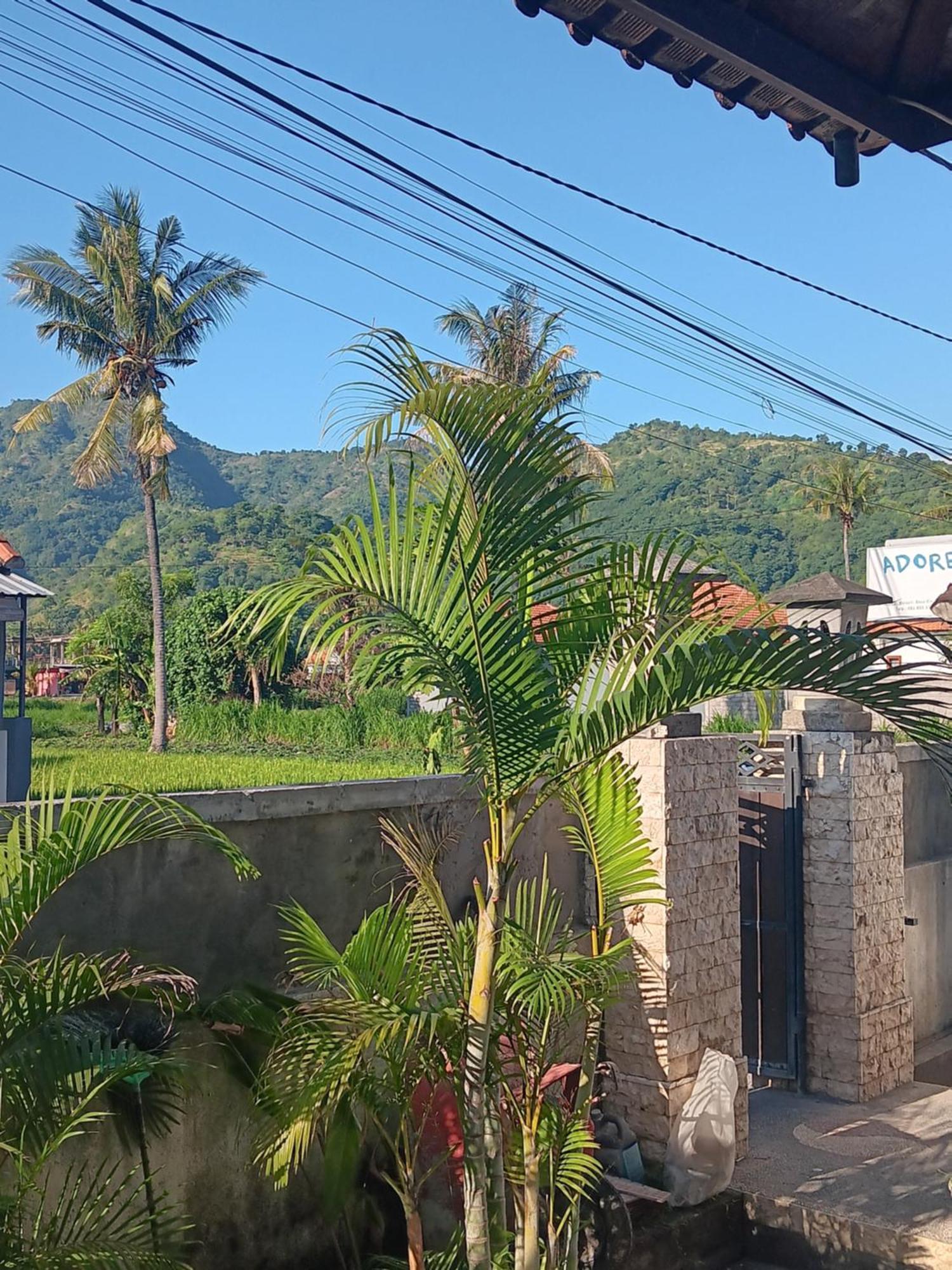 Guest house Adore Amed (Bali)
