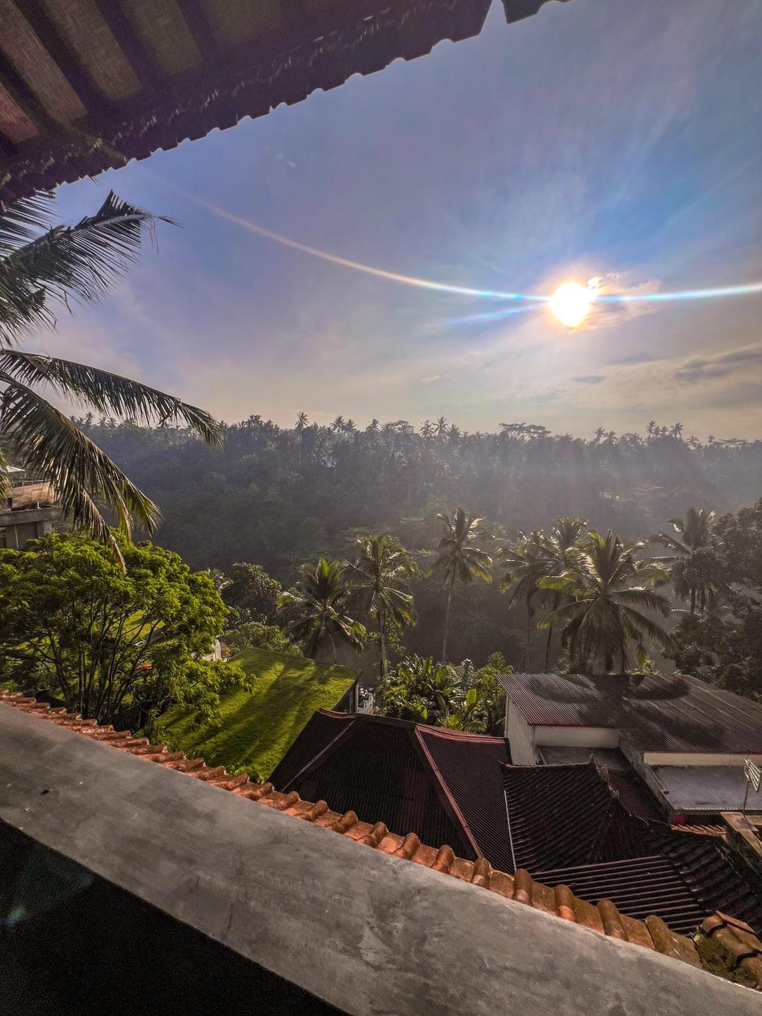 Made Punia's Jungle * Ubud (Bali)