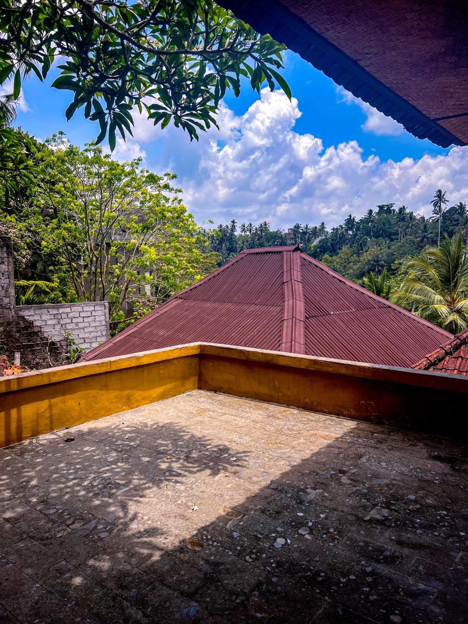 Homestay Made Punia's Jungle