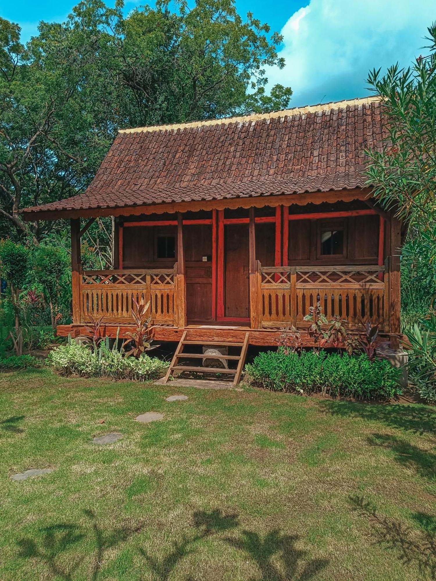 Alaya Lodge Pemuteran (Bali)