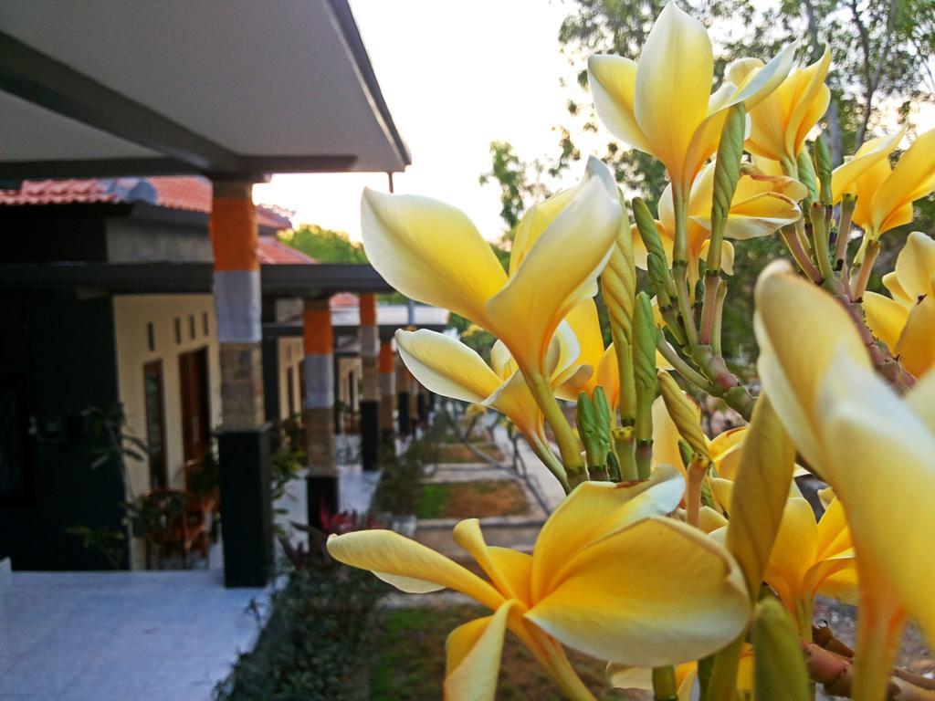 Guest house Tregge Surf Camp