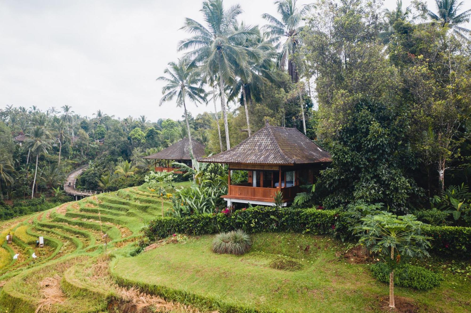 Clove Tree Hill Resort 4*
