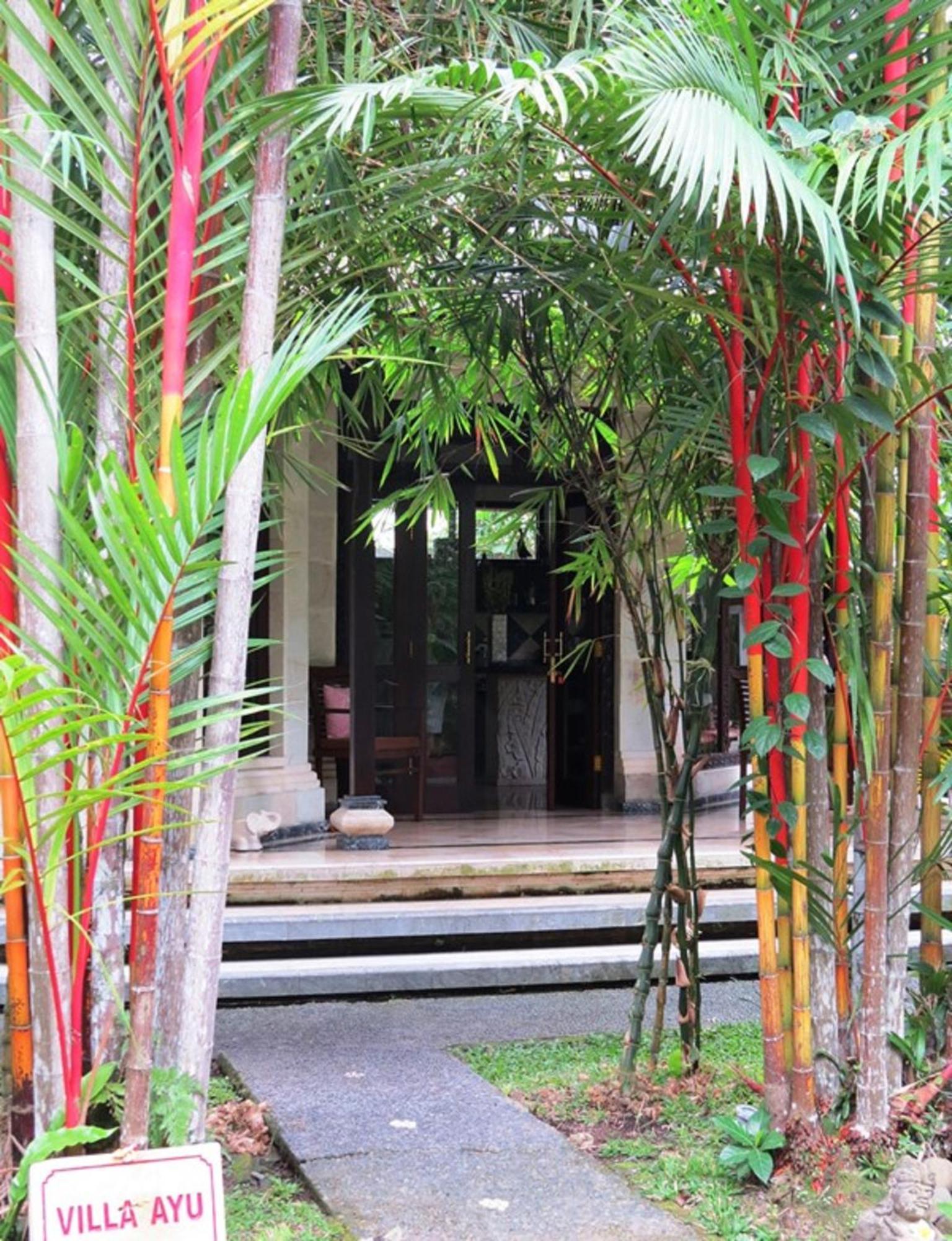 Sama's And Bed & Breakfast Ubud (Bali)