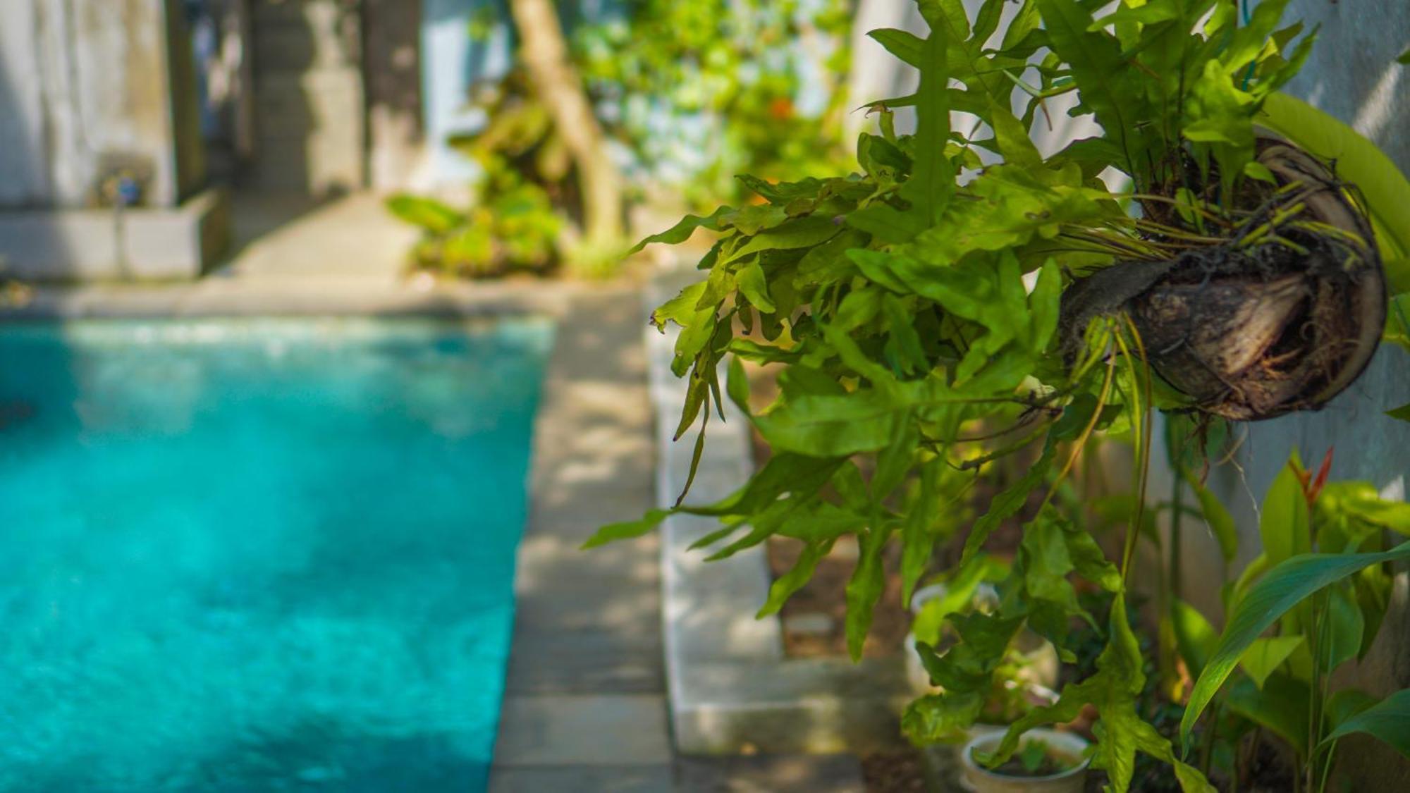 Guest house Dirga's House View By Eps