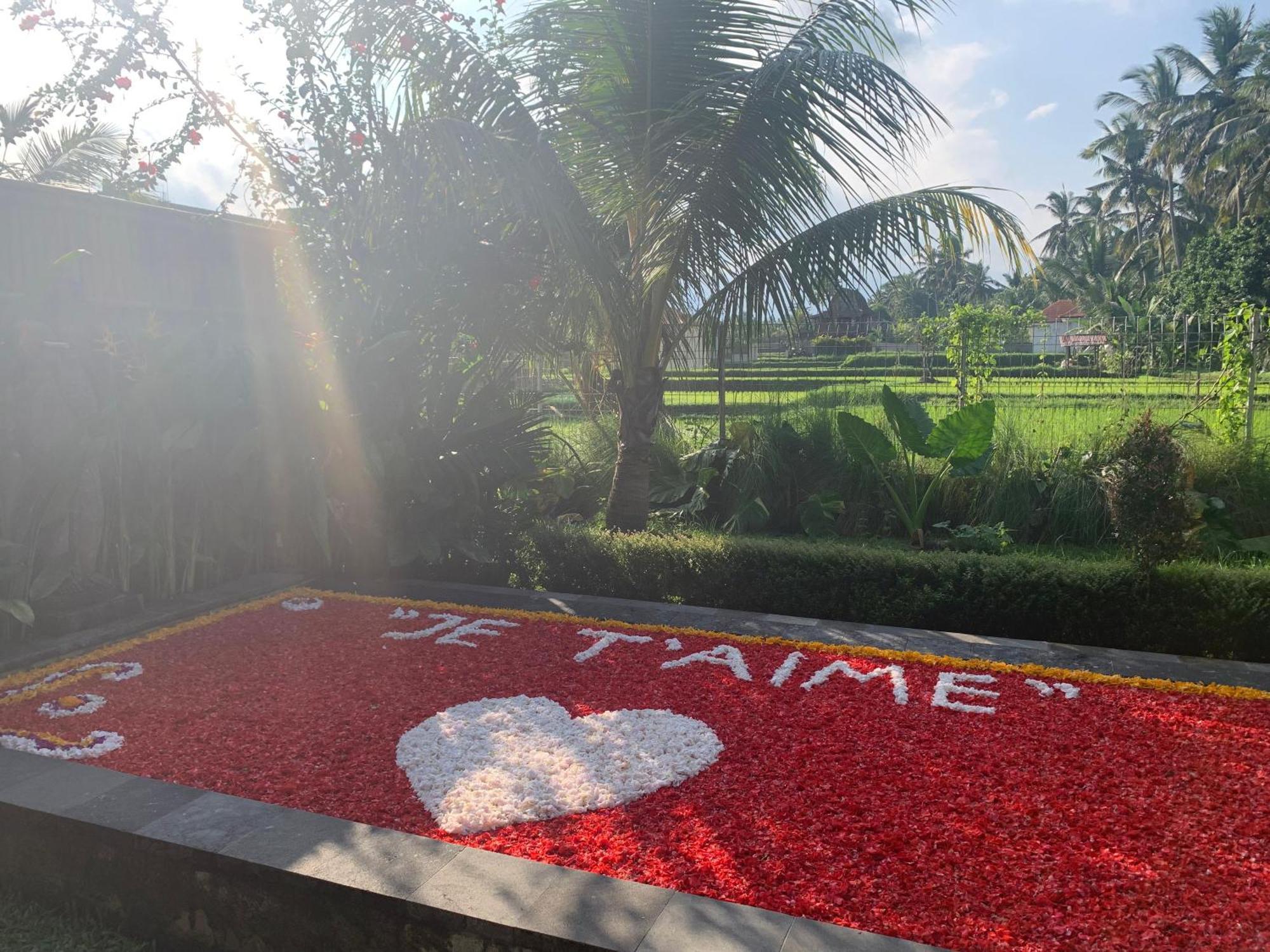 Poka Hidden Paradise & By Eps Hotel Ubud (Bali)