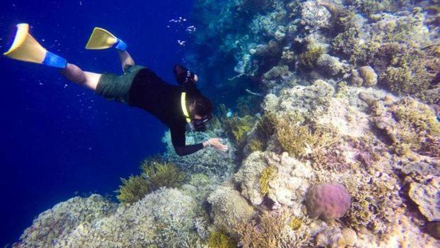 Batu Ampar Menjangan Resor 4*