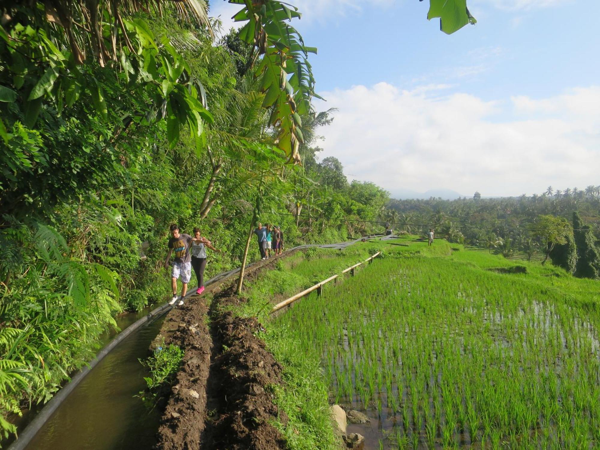 Kaniksa * Candi Dasa (Bali)