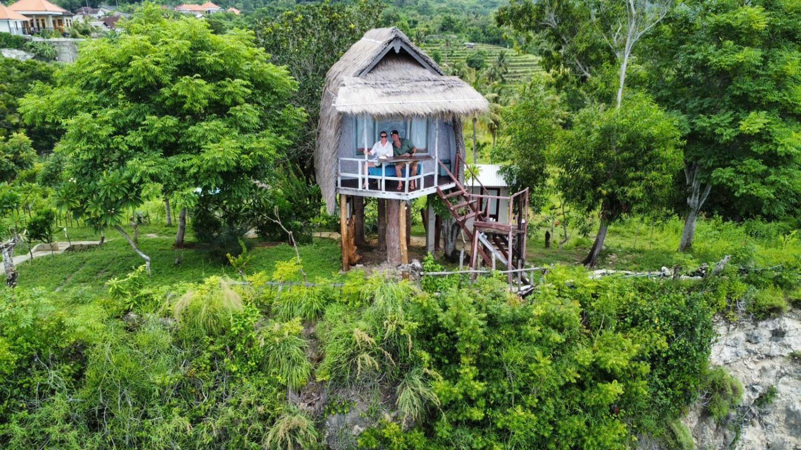 Holiday park Eco-tourist Dreamstay Treehouse Tanglad