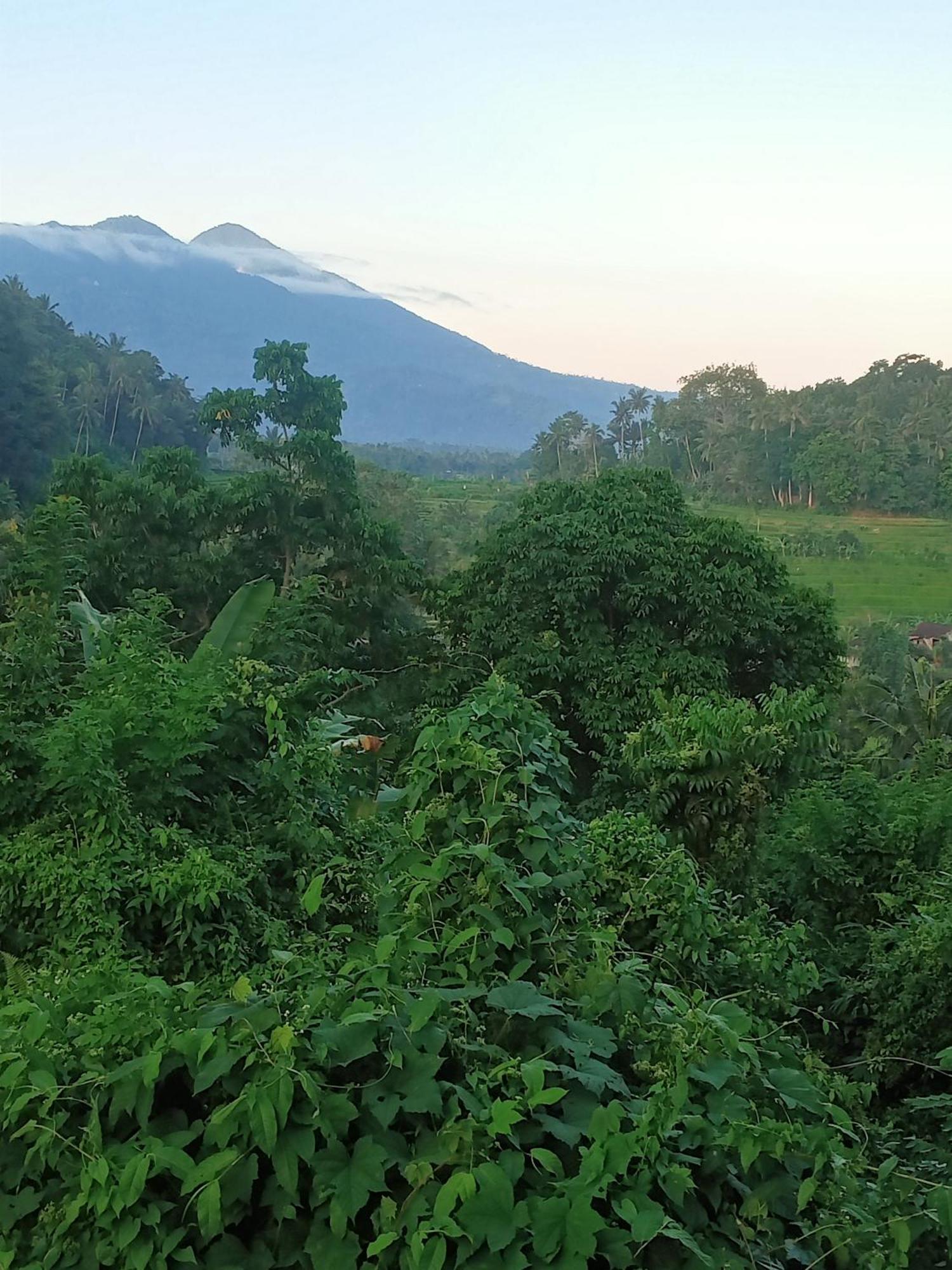 Alamku Inn *