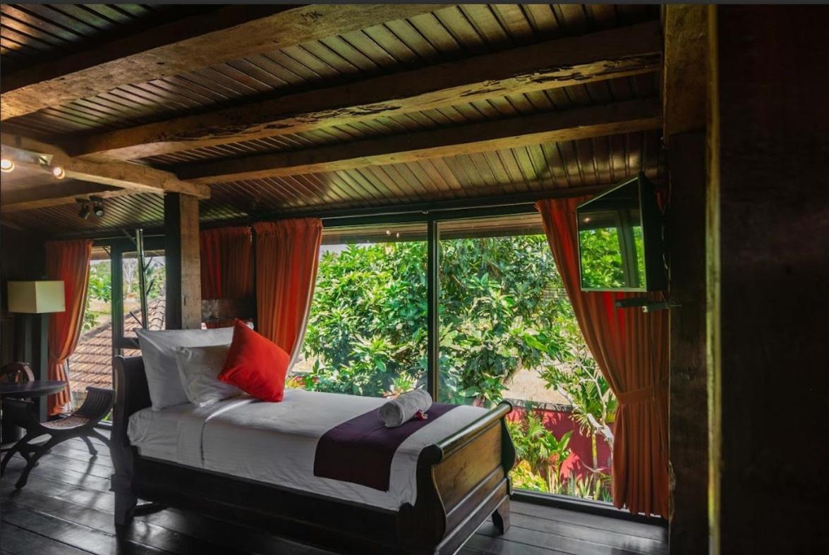 Balam Bali