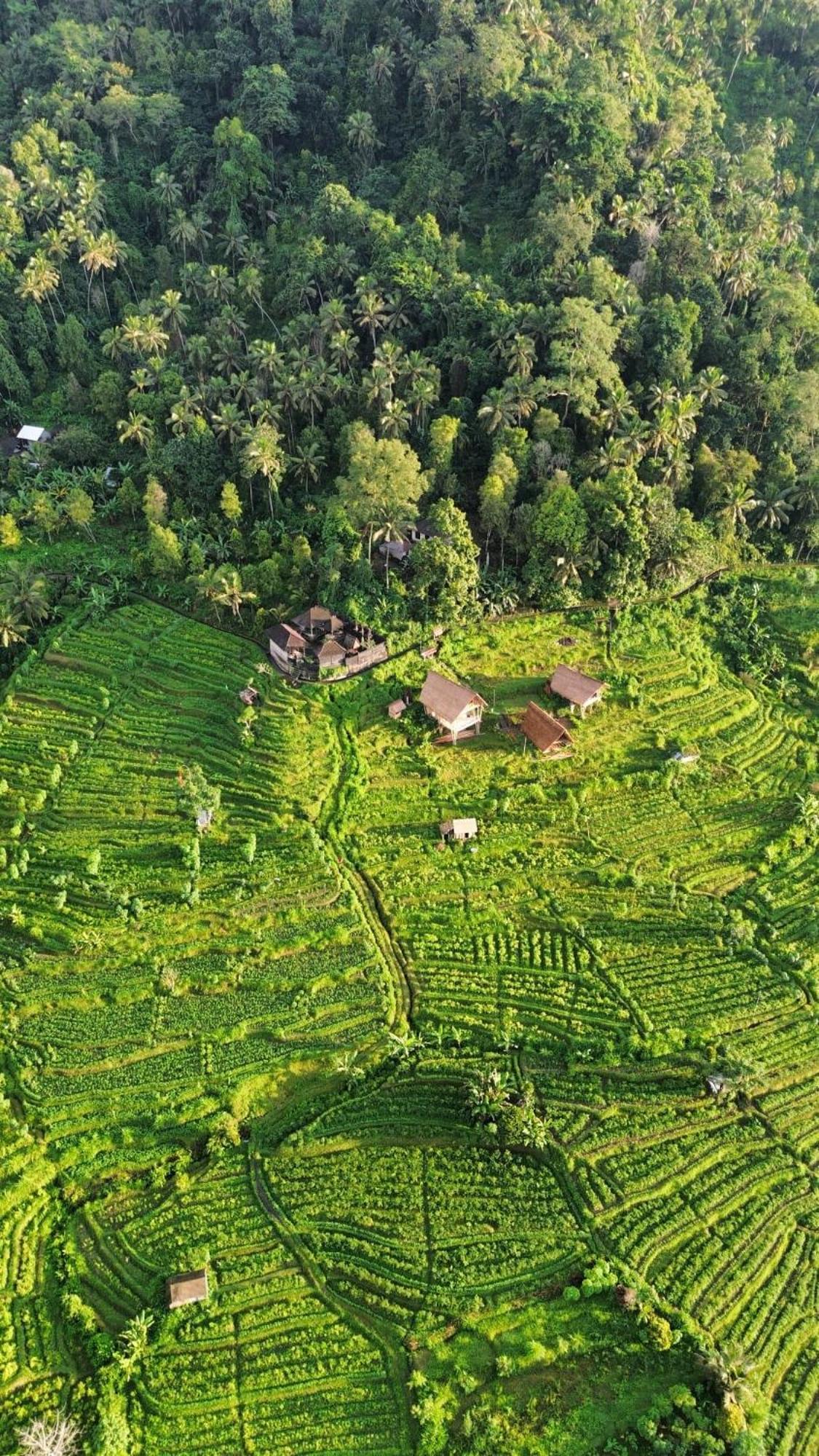Villa Sandag Hill Sidemen (Bali)