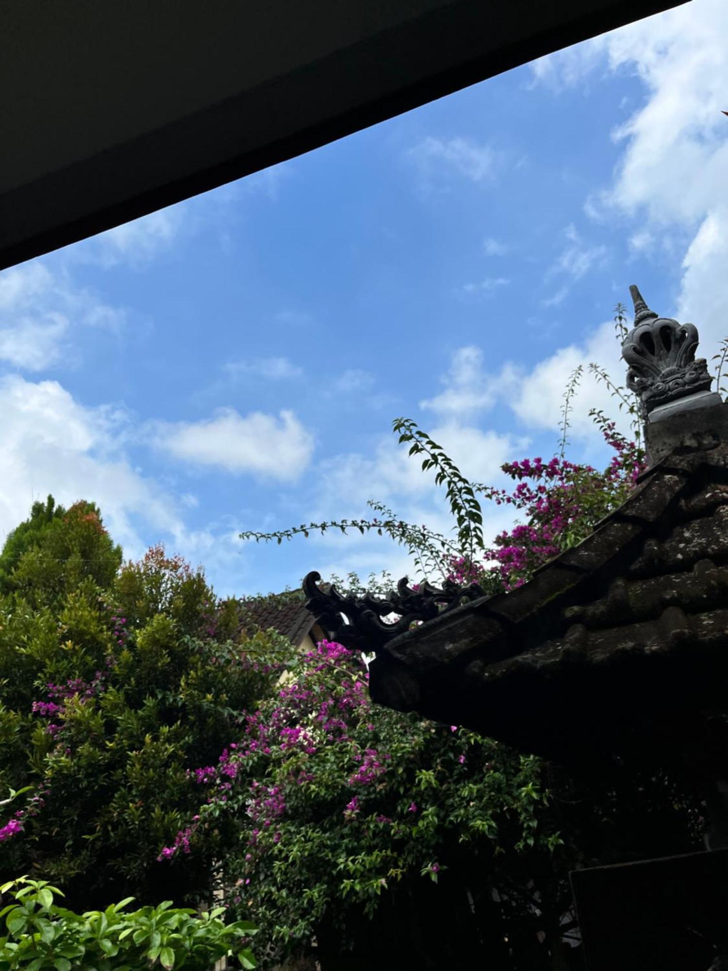 Jana's Sidemen (Bali)