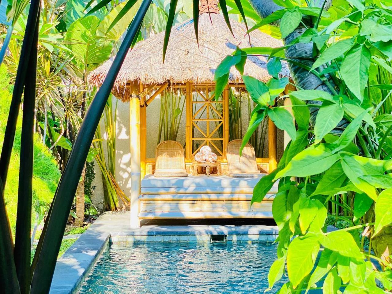 Villa Mozon Garden - A Tropical Paradise By The