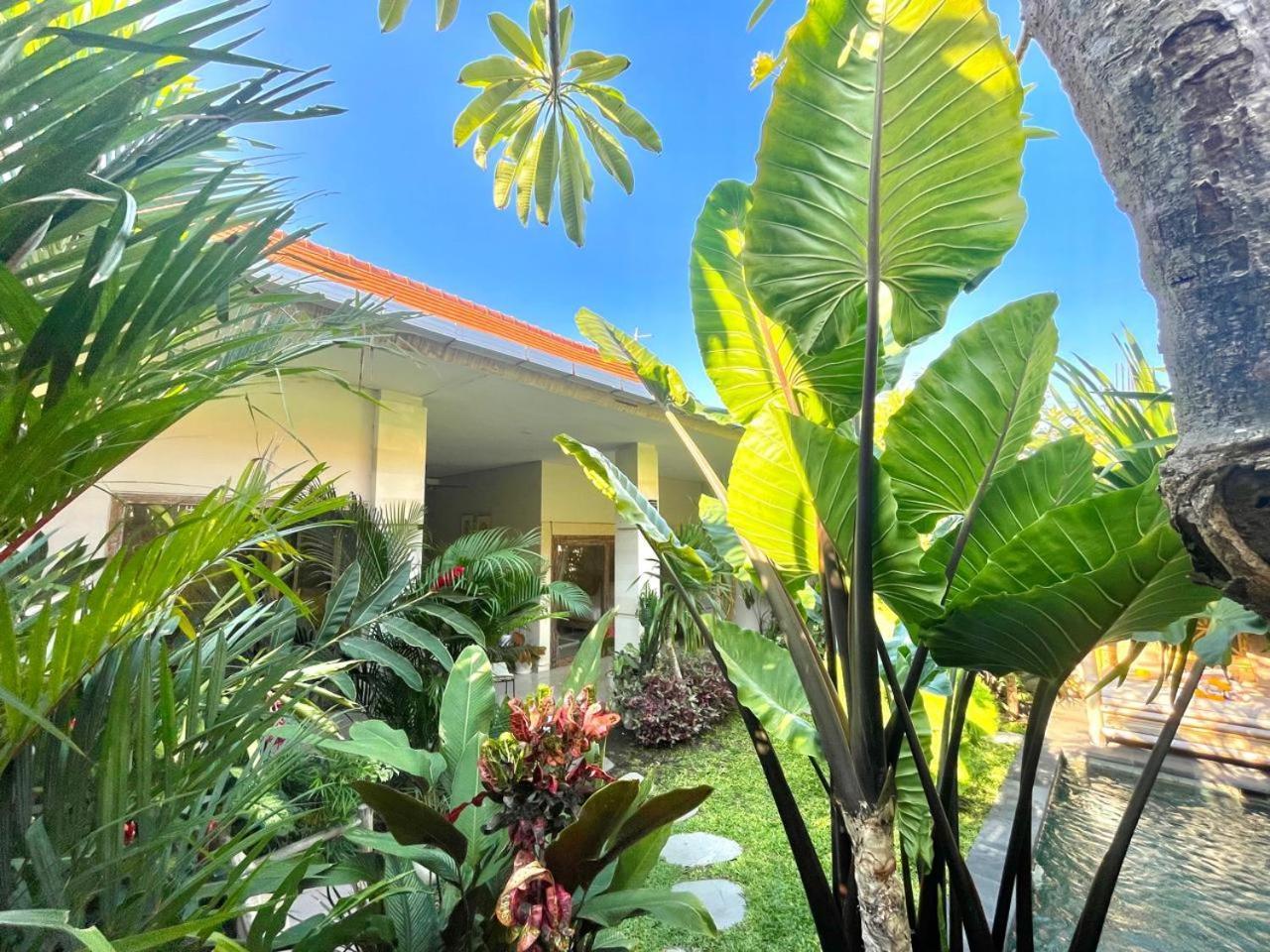 Mozon Garden - A Tropical Paradise By The *