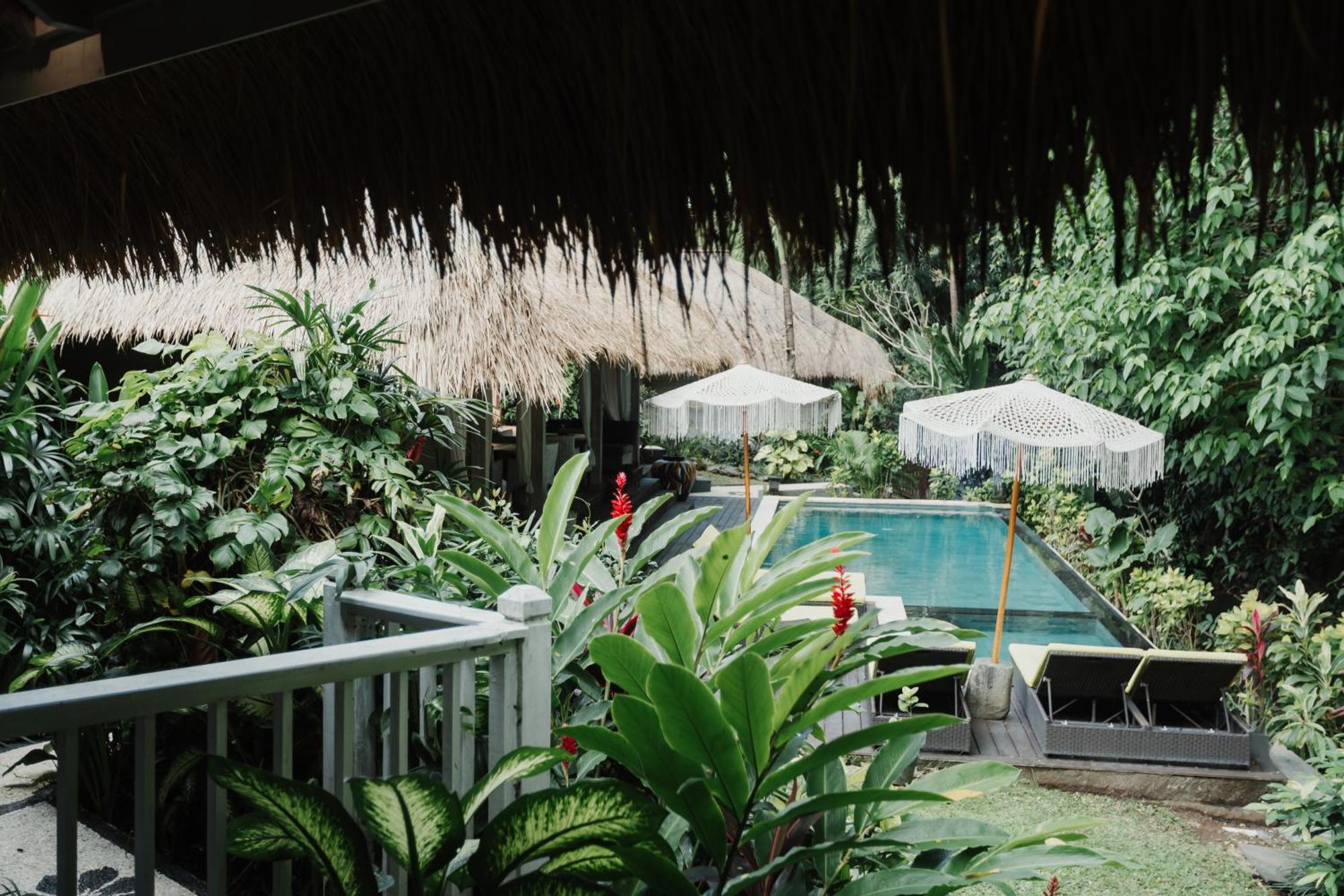 Guest house Maylie Bali & 4*