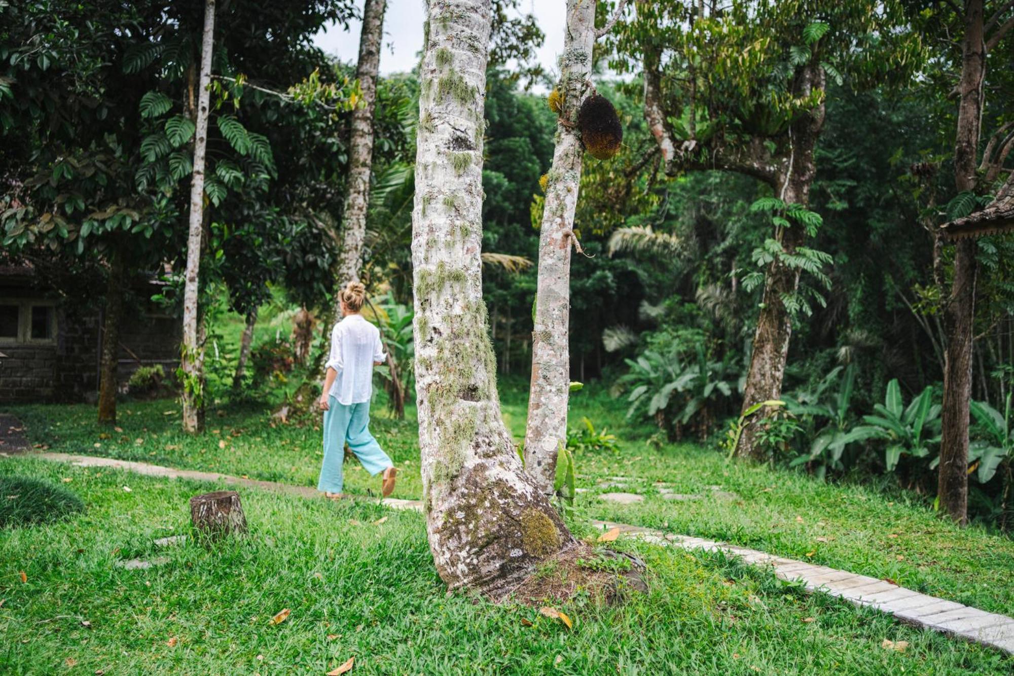 Oemah Tepi Sawah Lodge *