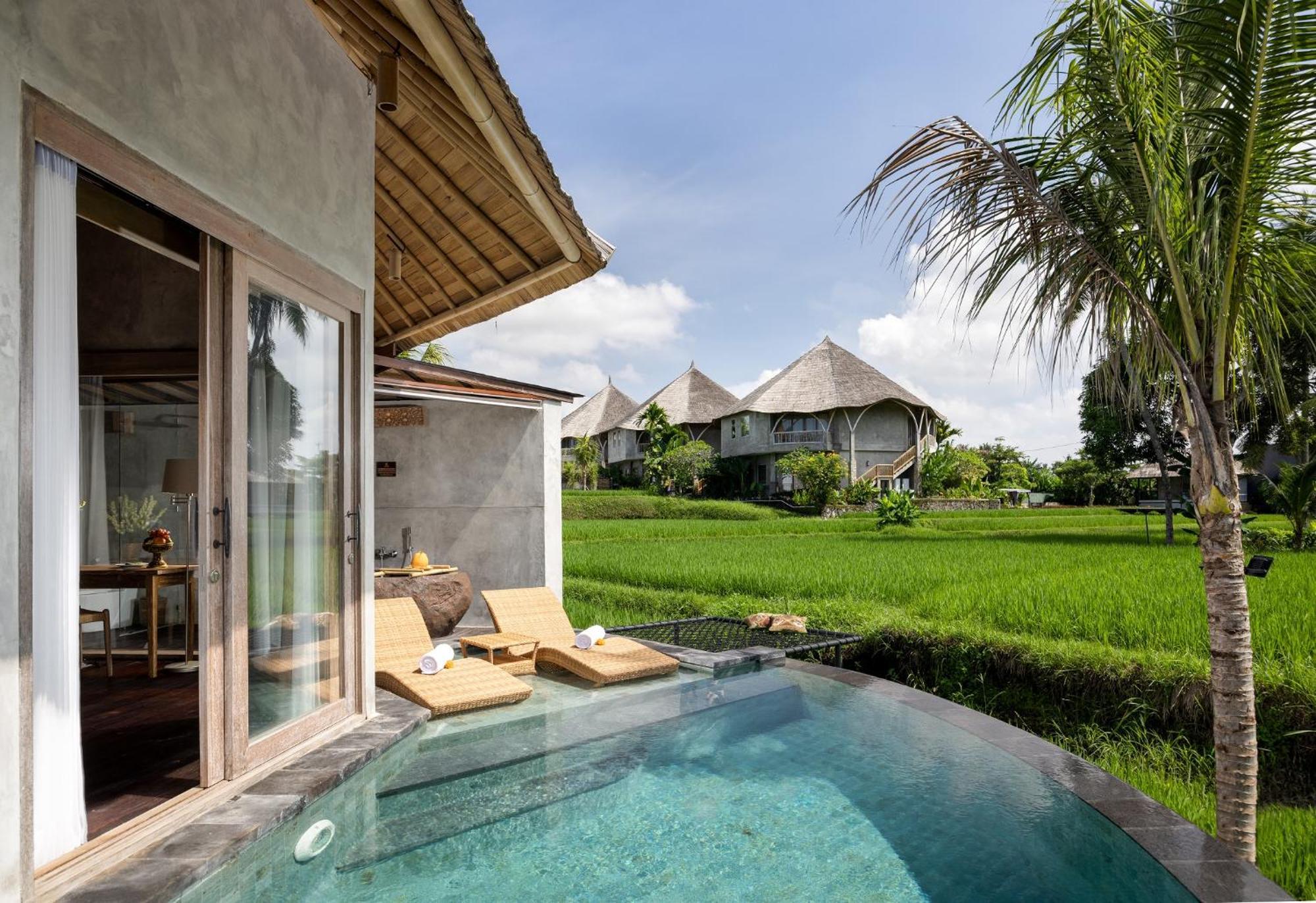 Thewakanda A Pramana Experience 4*