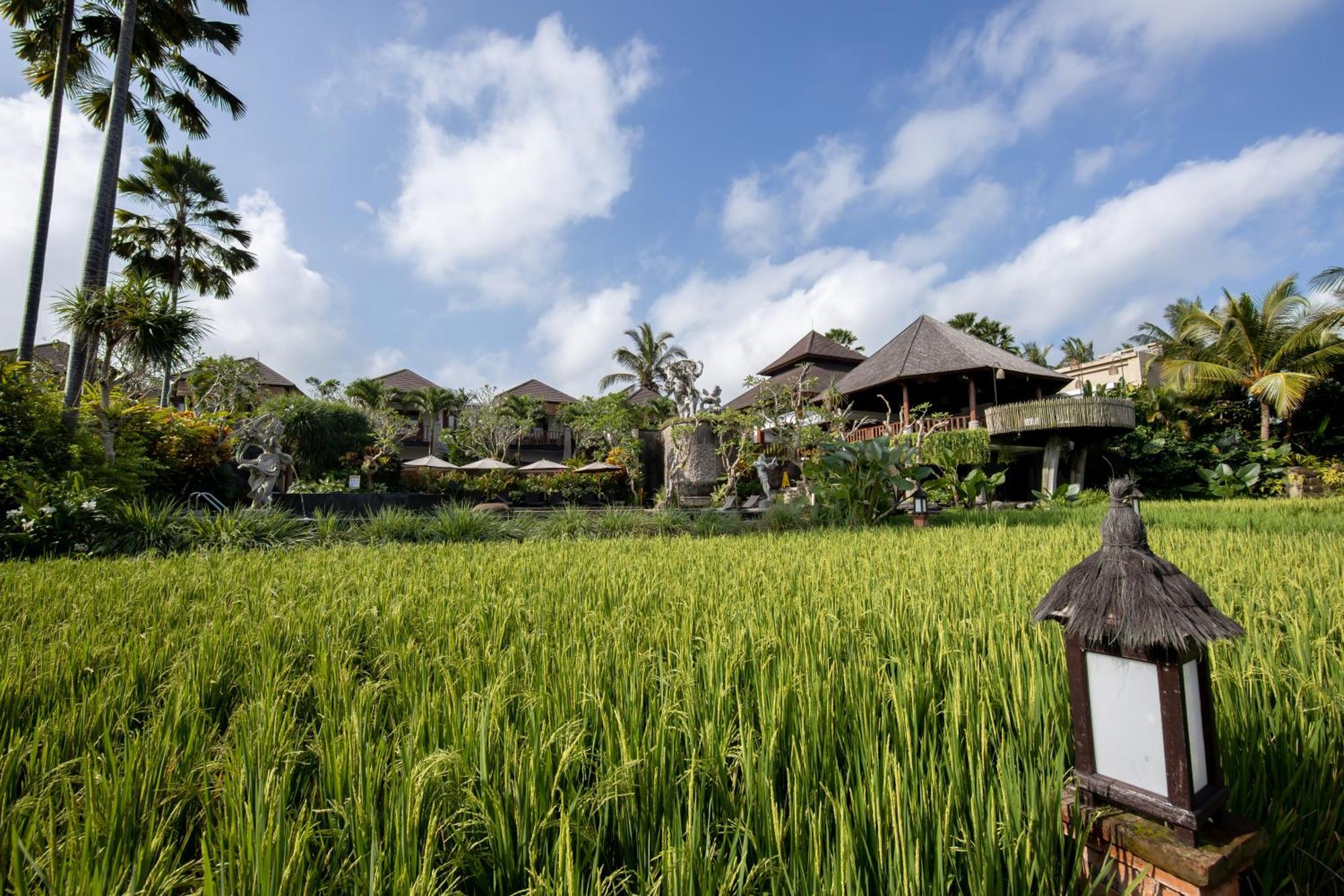 Anumana Village Hotel 4*