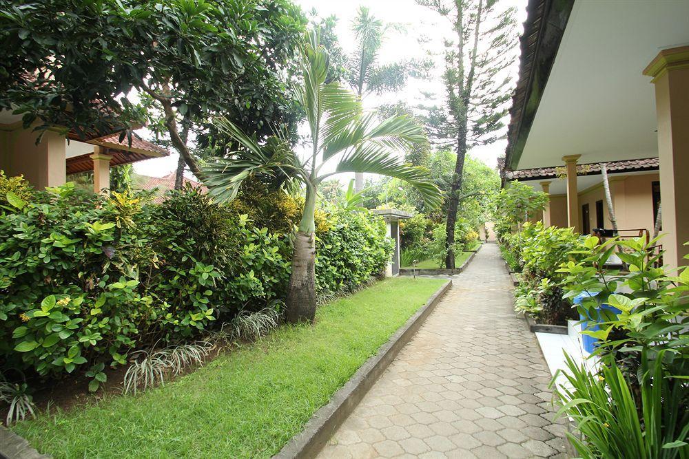 Lusa At Kuta Kuta (Bali)