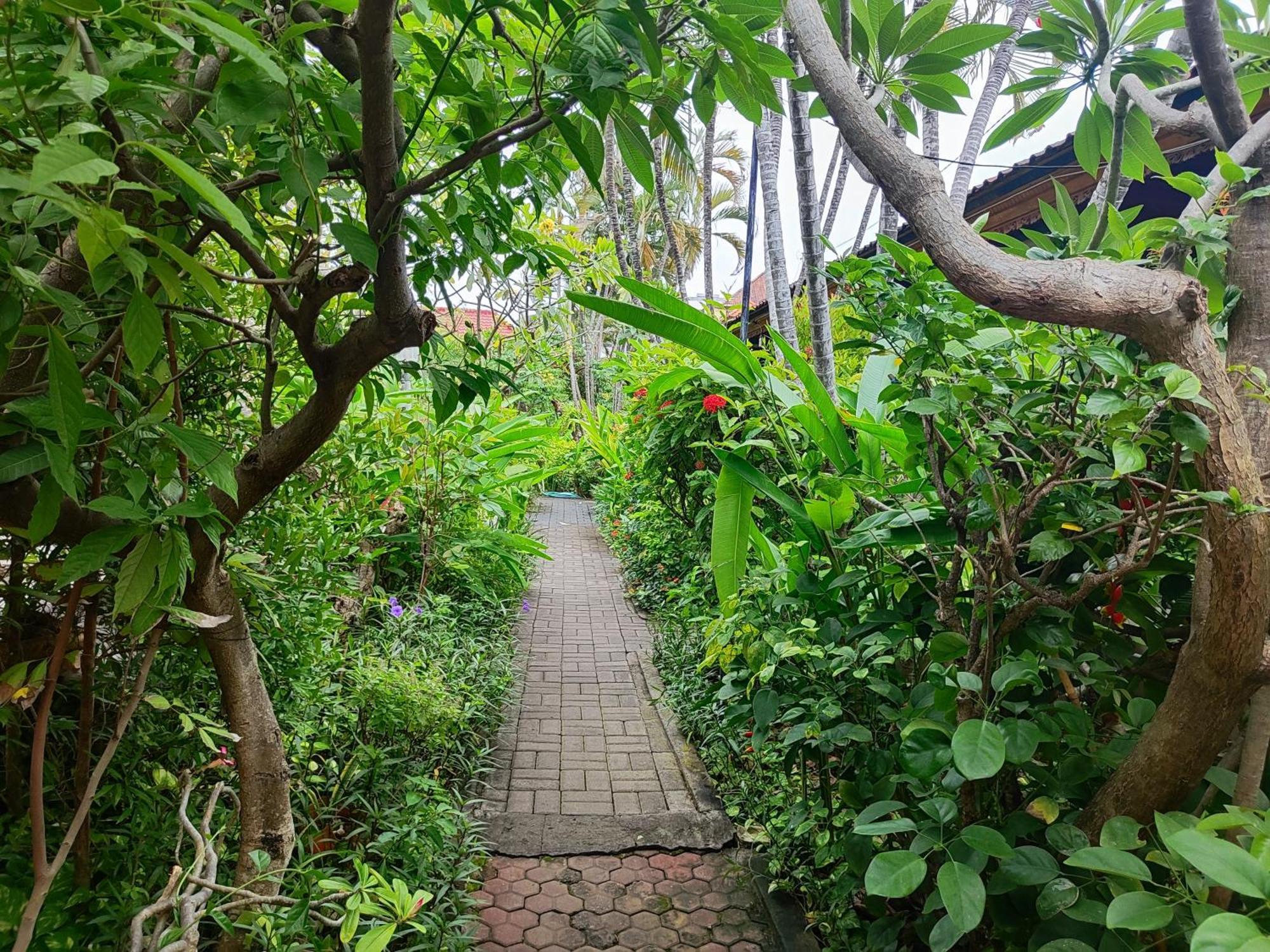 Adus Guest house