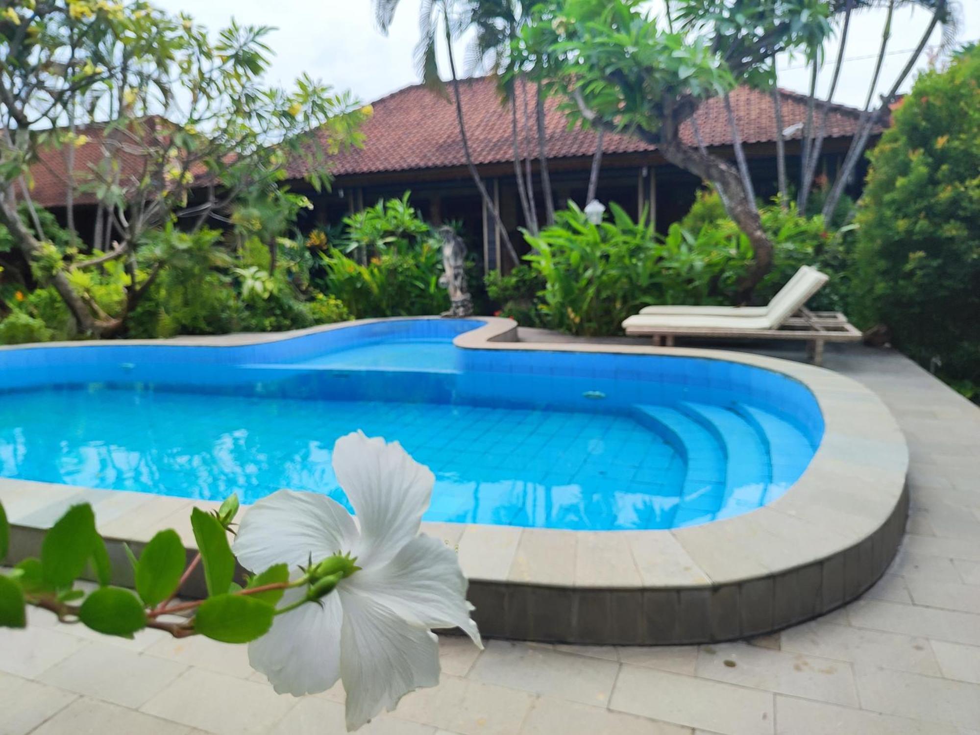 Guest house Adus