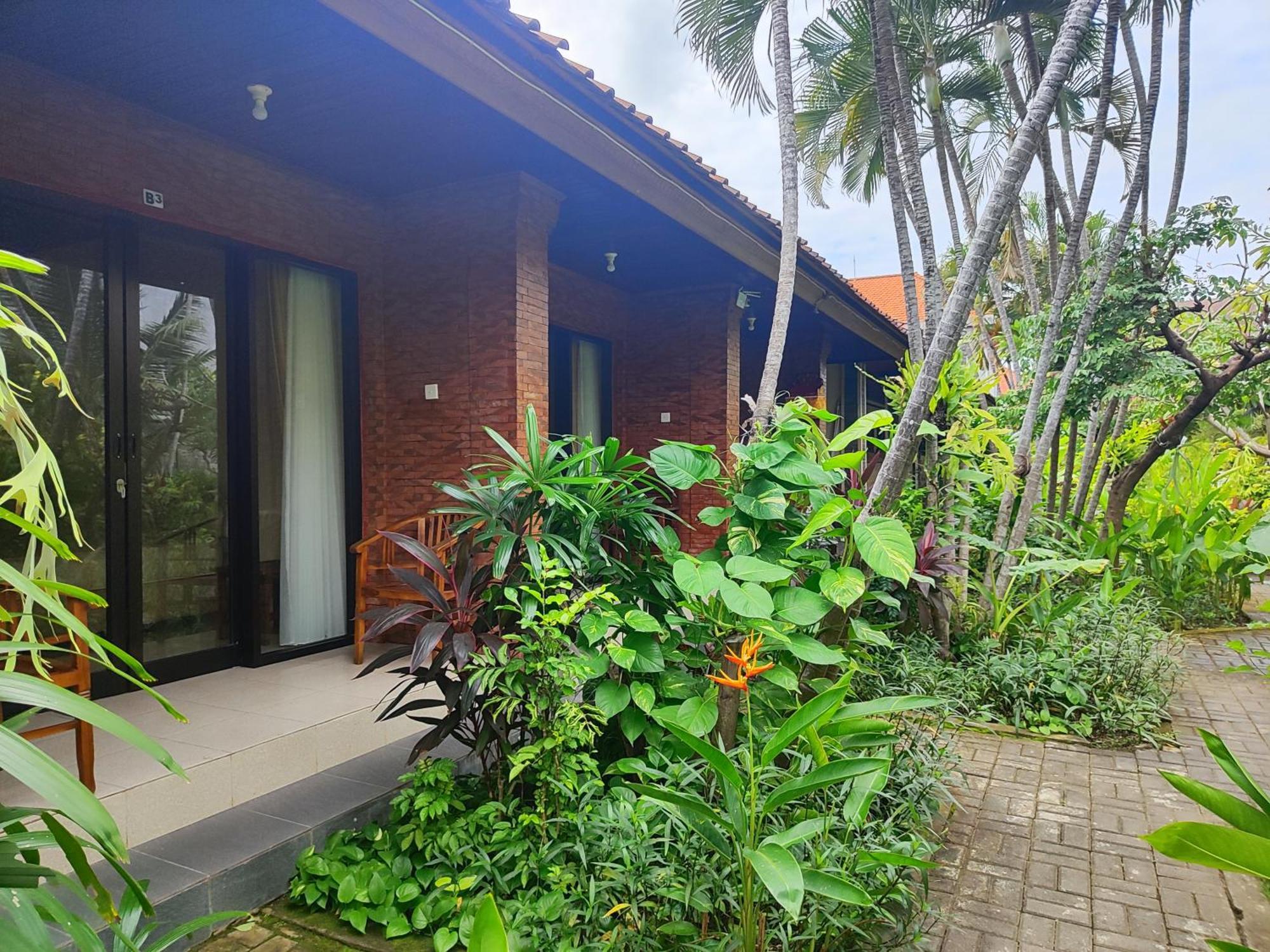 Guest house Adus 2*