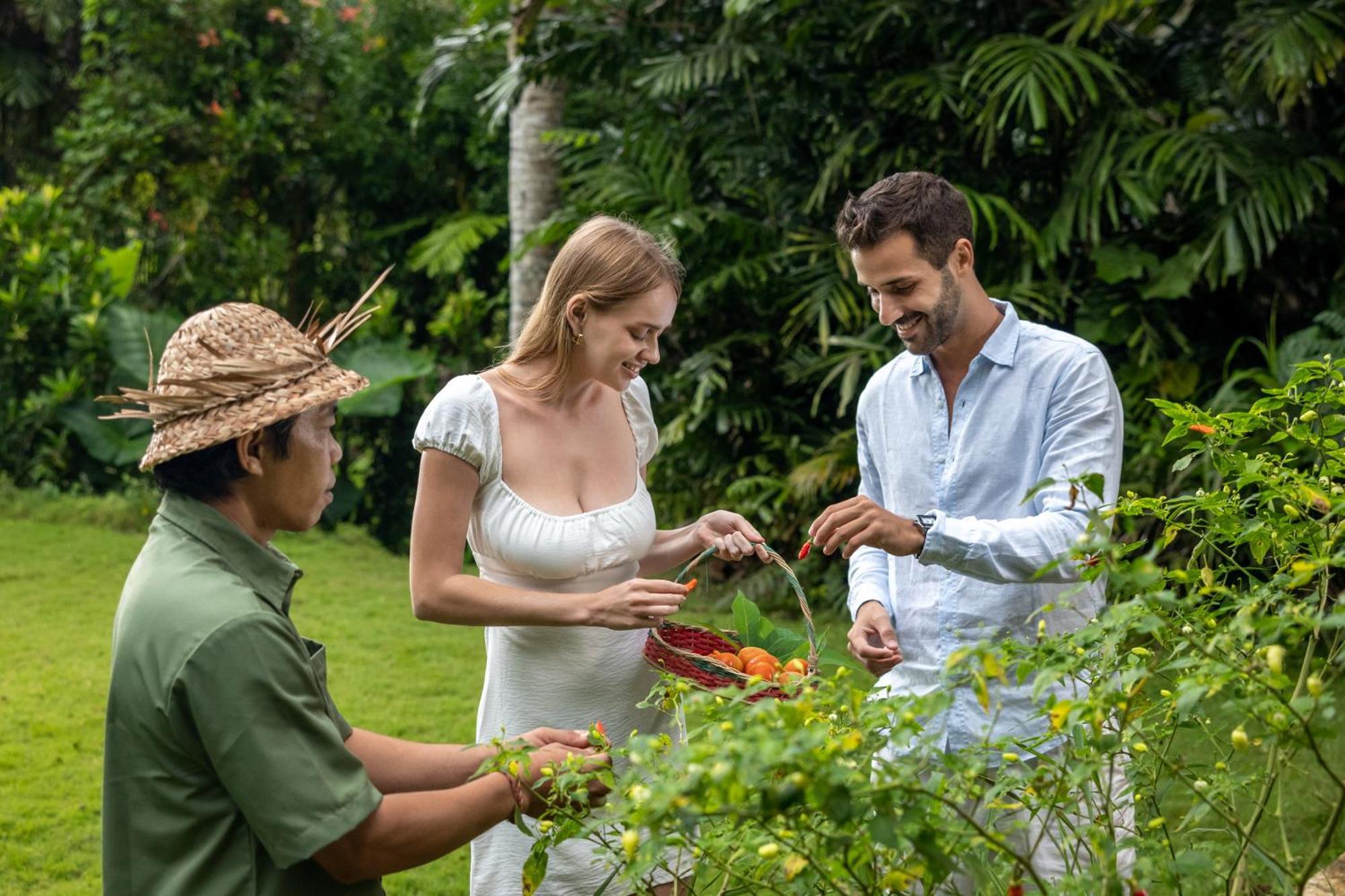 Resort The Mesare Eco 4*