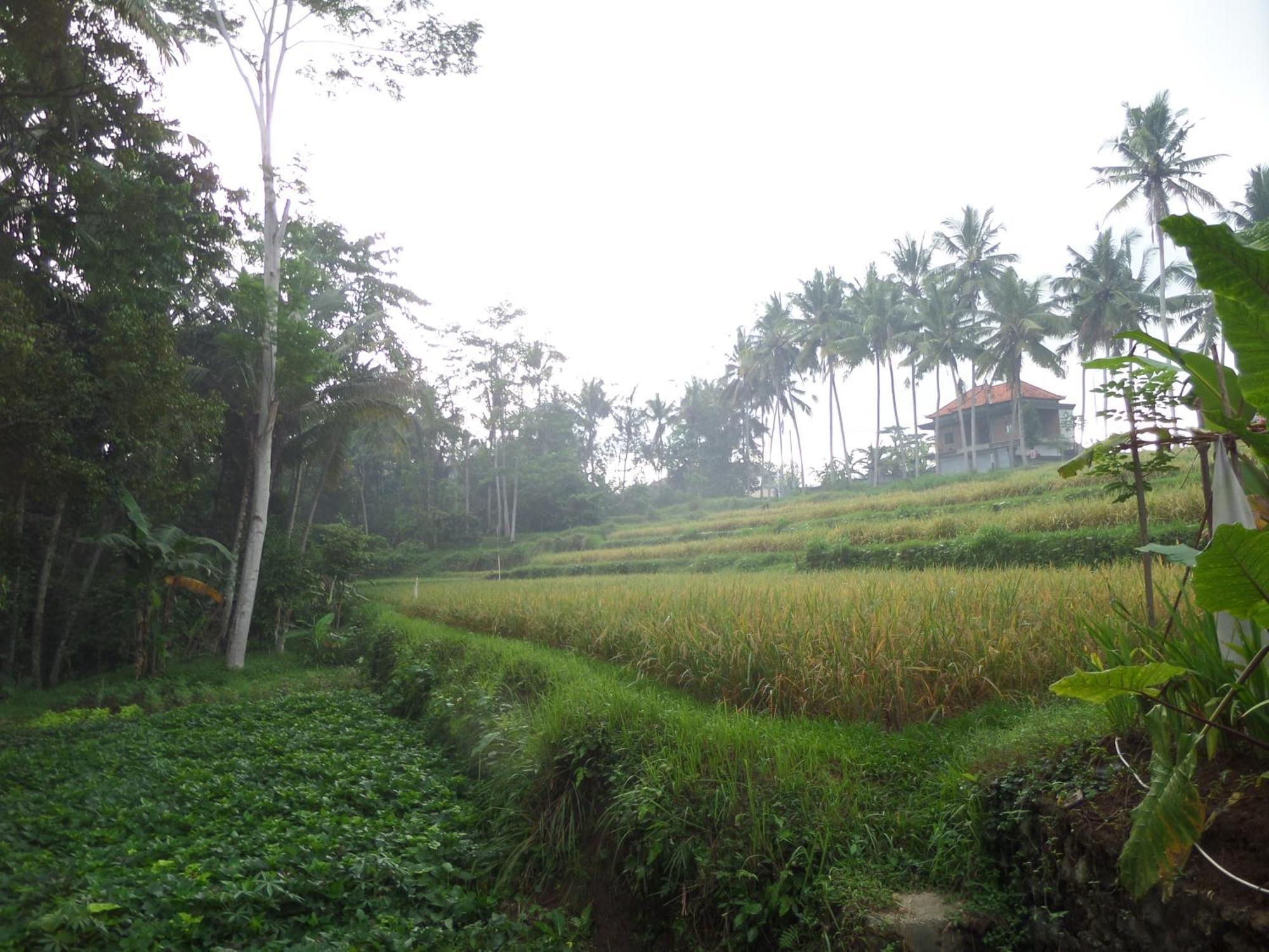 Holiday park Alam Sembuwuk 4*