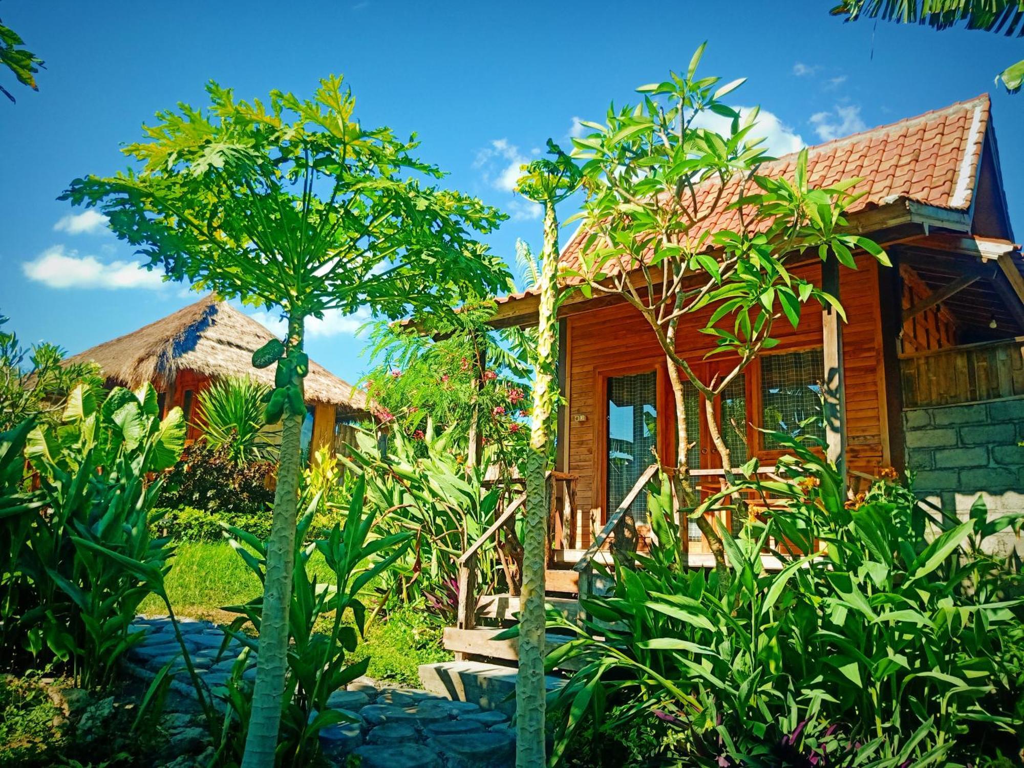 Guest house Umah Kayu 2-menjangan Banyuwedang