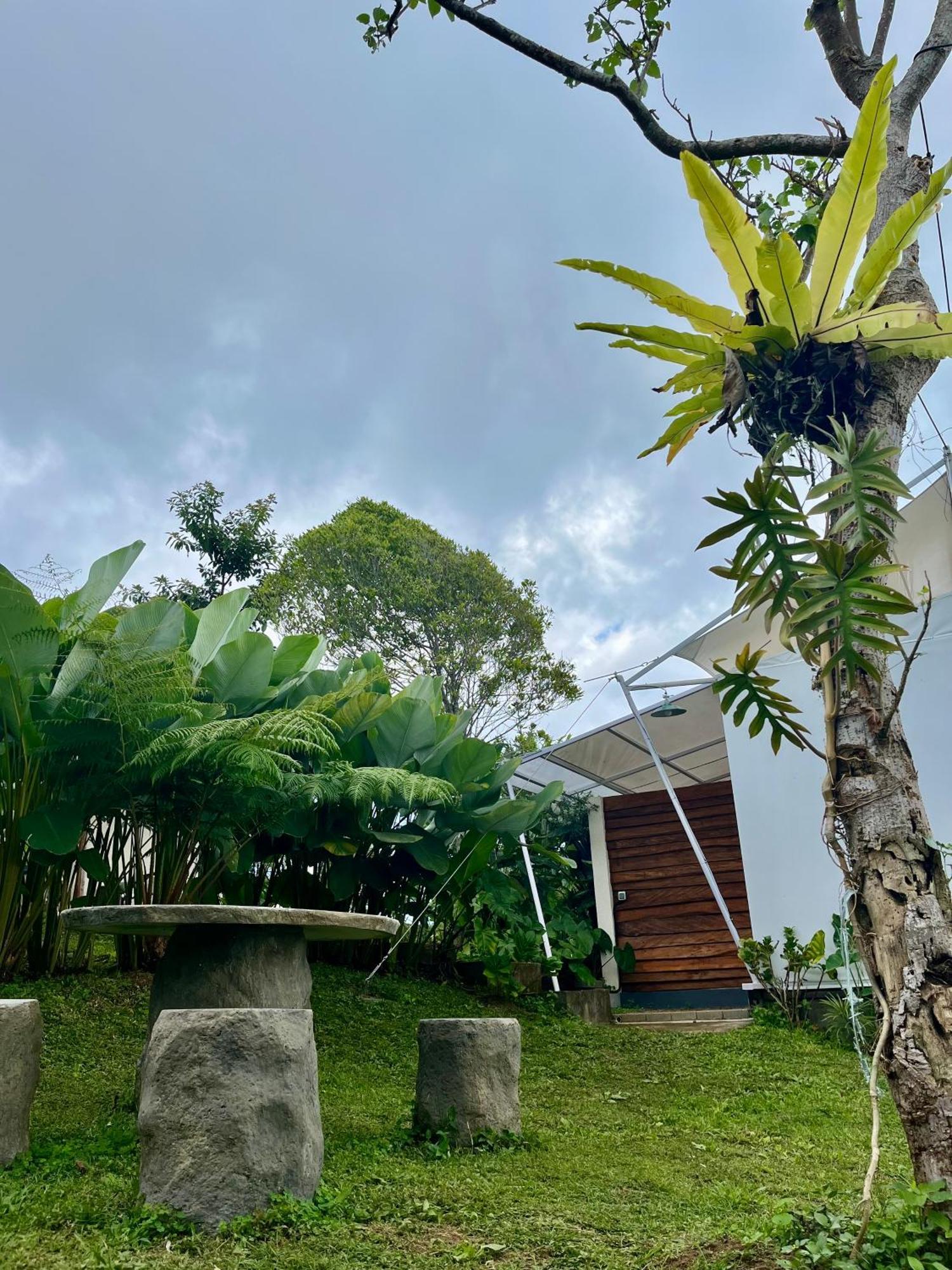 Tenda mewah Harsa Eco Luxury Camp