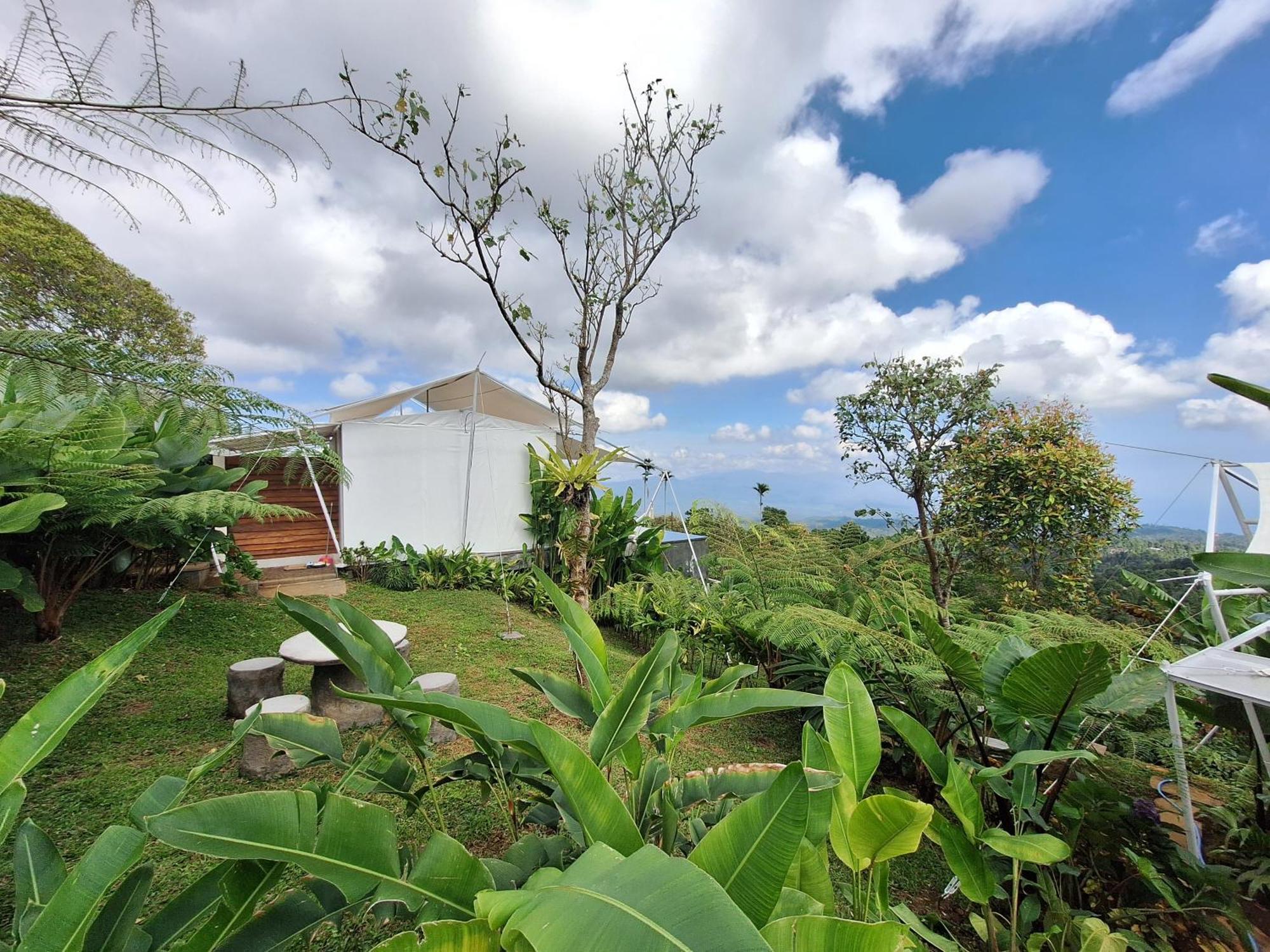 Harsa Eco Luxury Camp Tenda mewah Gobleg (Bali)