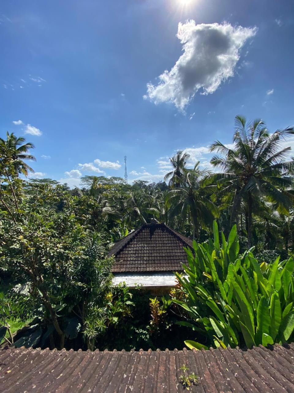 Dukuh Village & Art 3*