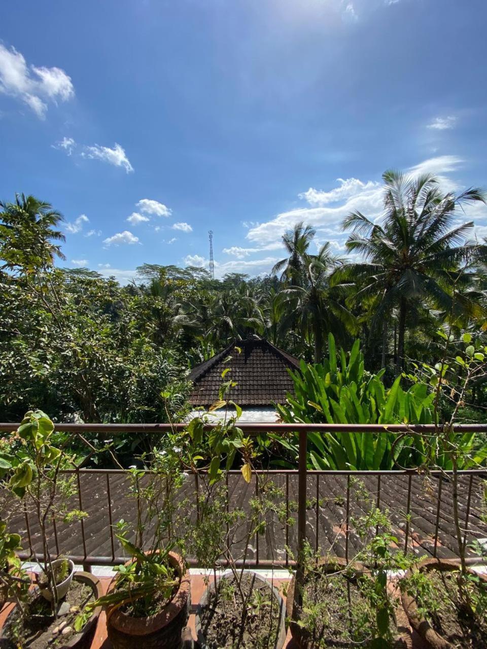 Dukuh Village & Art Guest house 3*