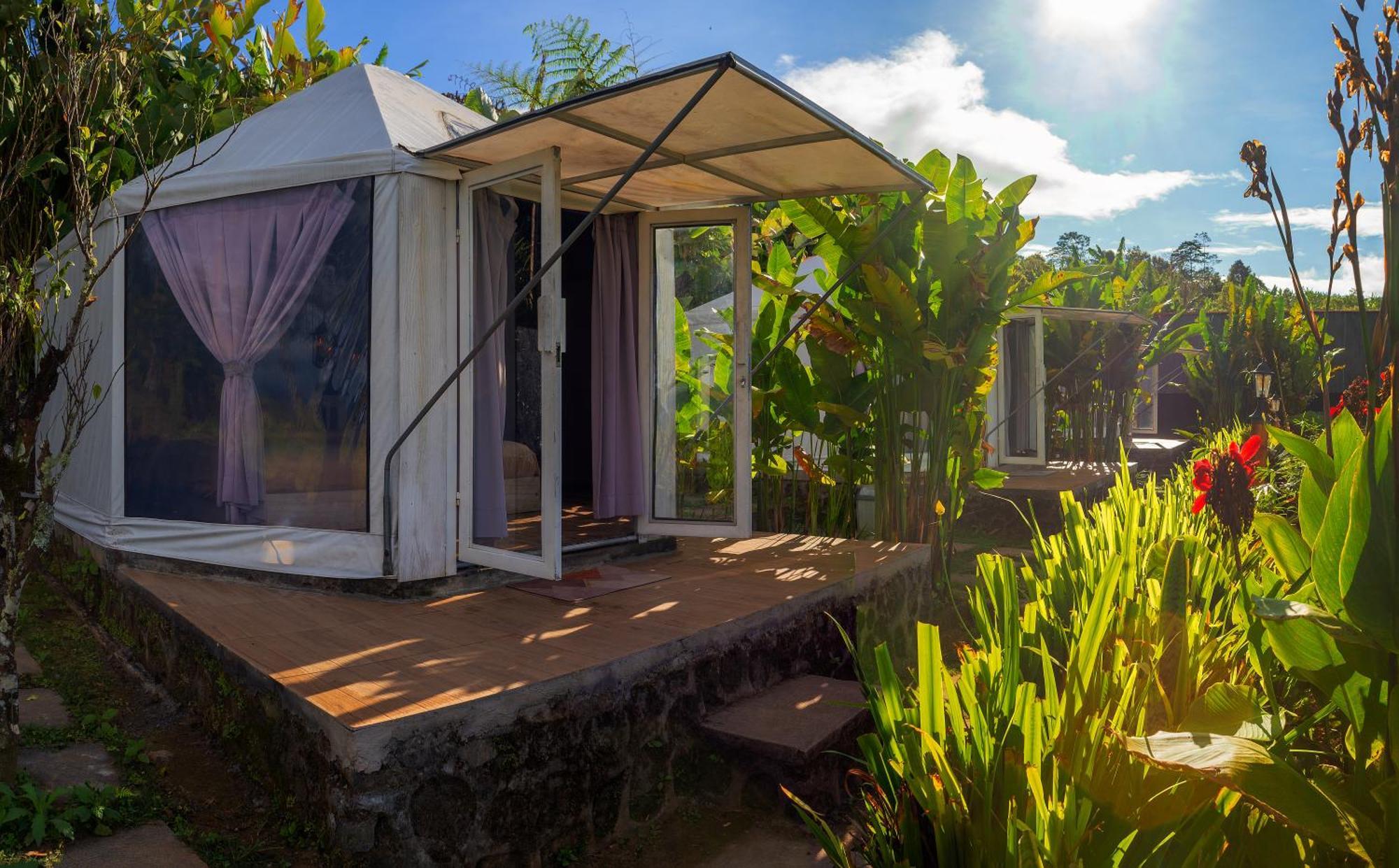 Alam Kita Glamping & Plantation