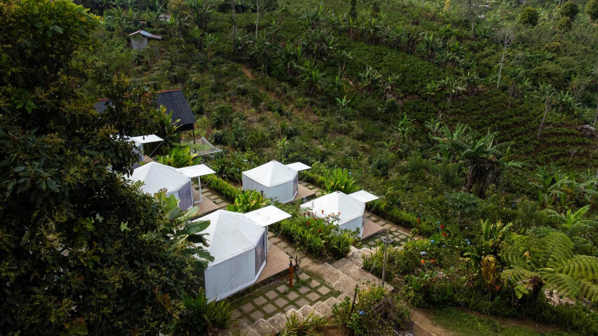 Alam Kita Glamping & Plantation Campsite