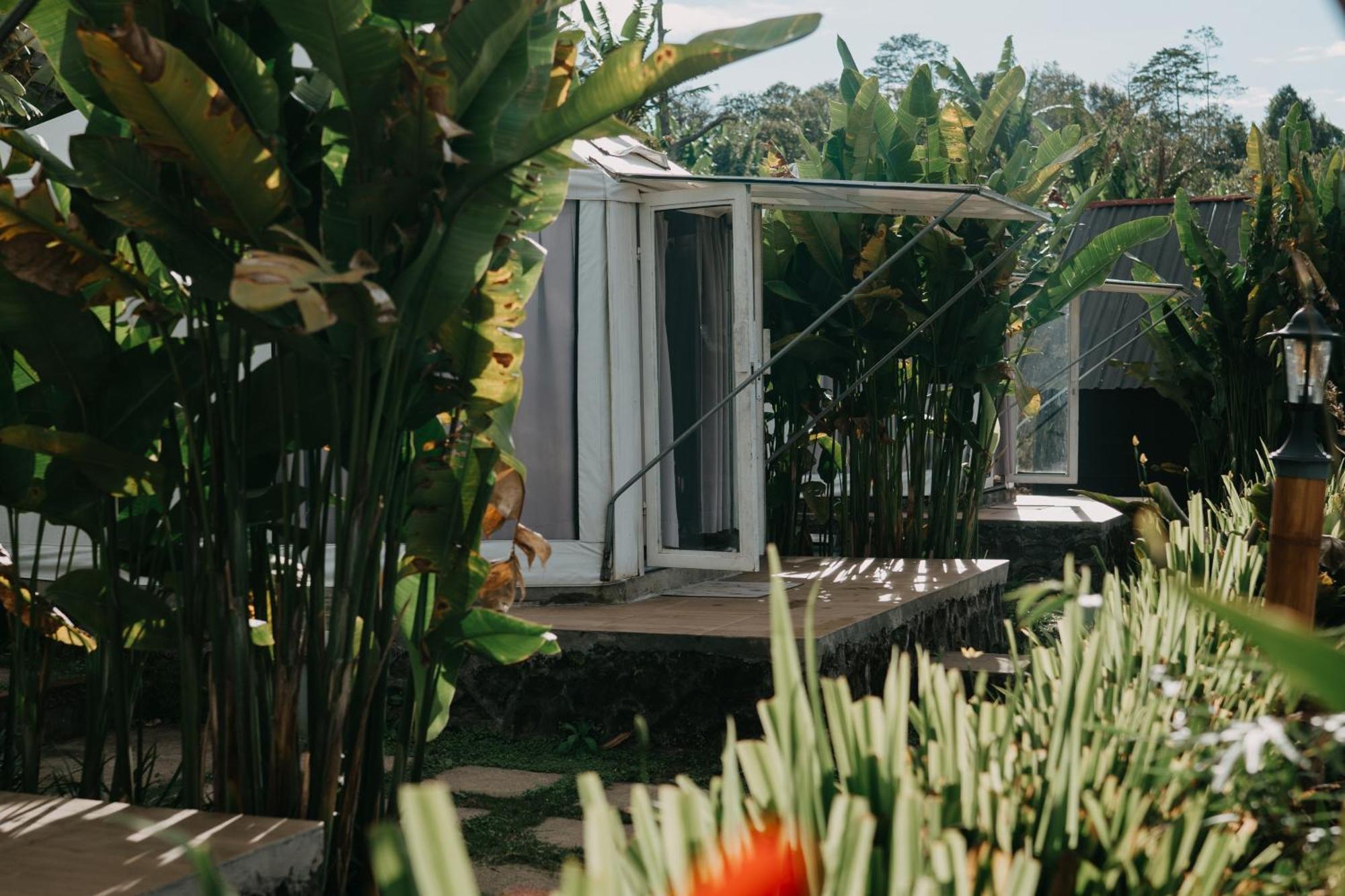 Campsite Alam Kita Glamping & Plantation