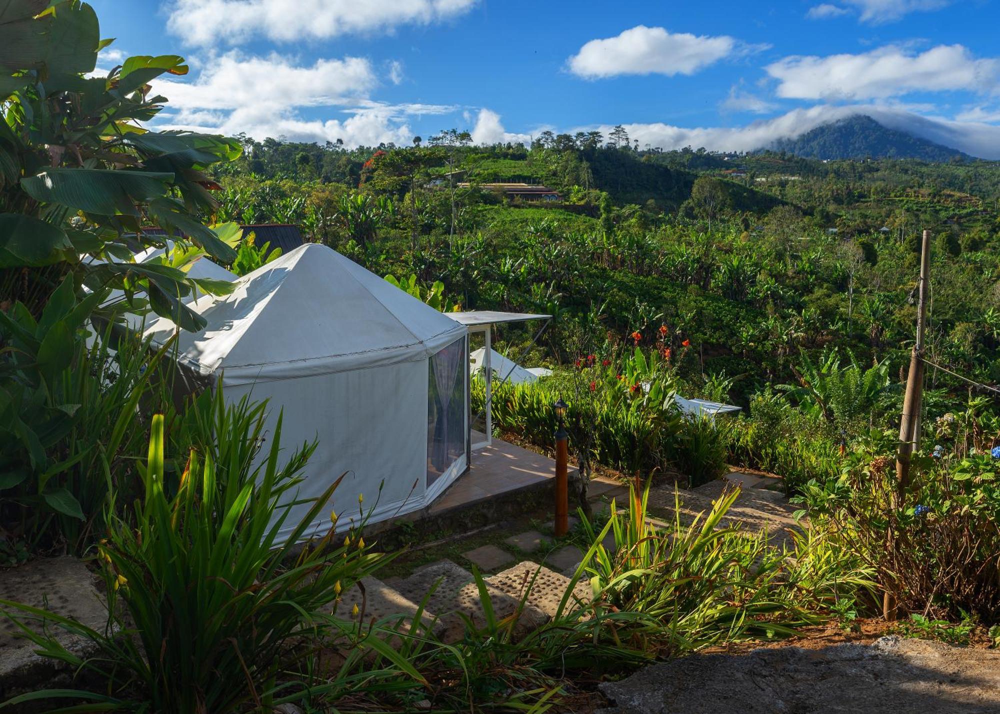 Alam Kita Glamping & Plantation 2*