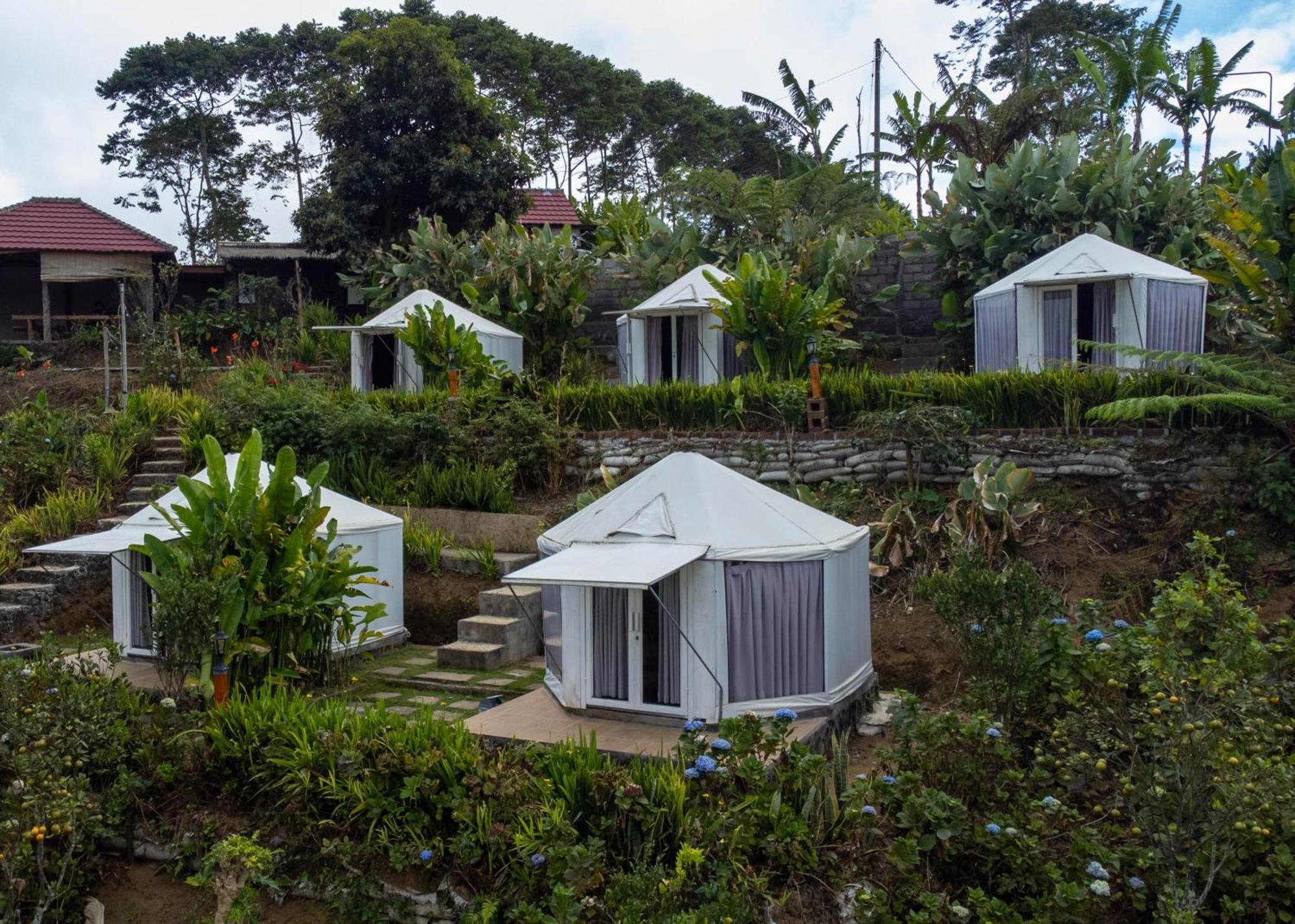 Alam Kita Glamping & Plantation Campsite