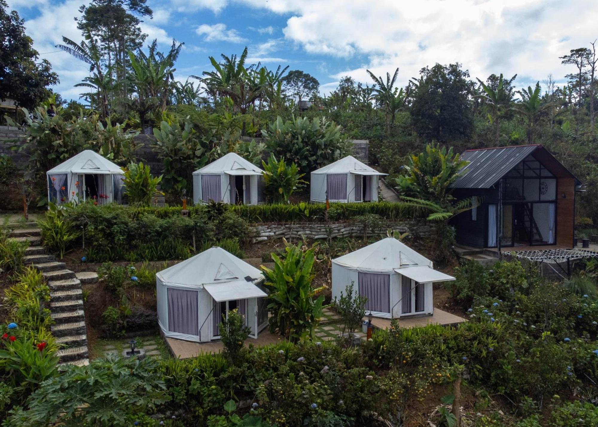Alam Kita Glamping & Plantation Campsite Munduk (Bali)