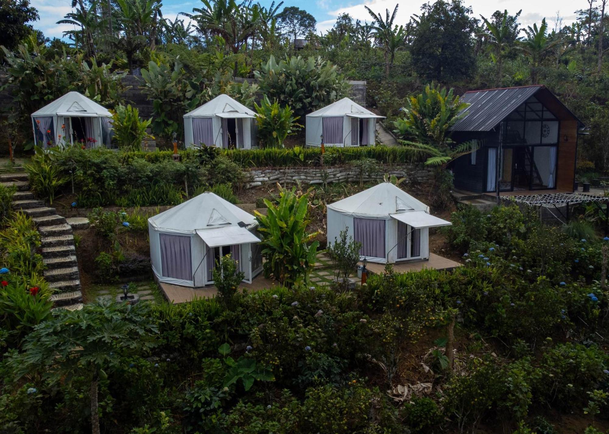 Campsite Alam Kita Glamping & Plantation Munduk (Bali)